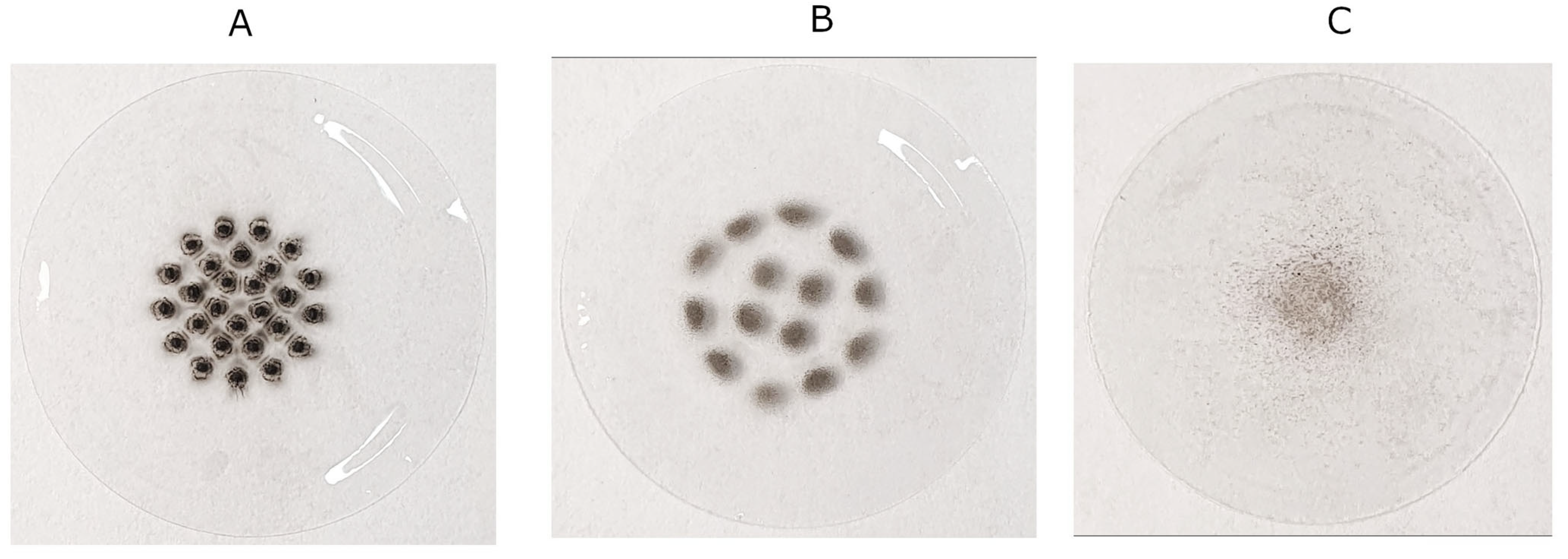 Molecules 30 04799 g011 Molecules 30 04799 g011