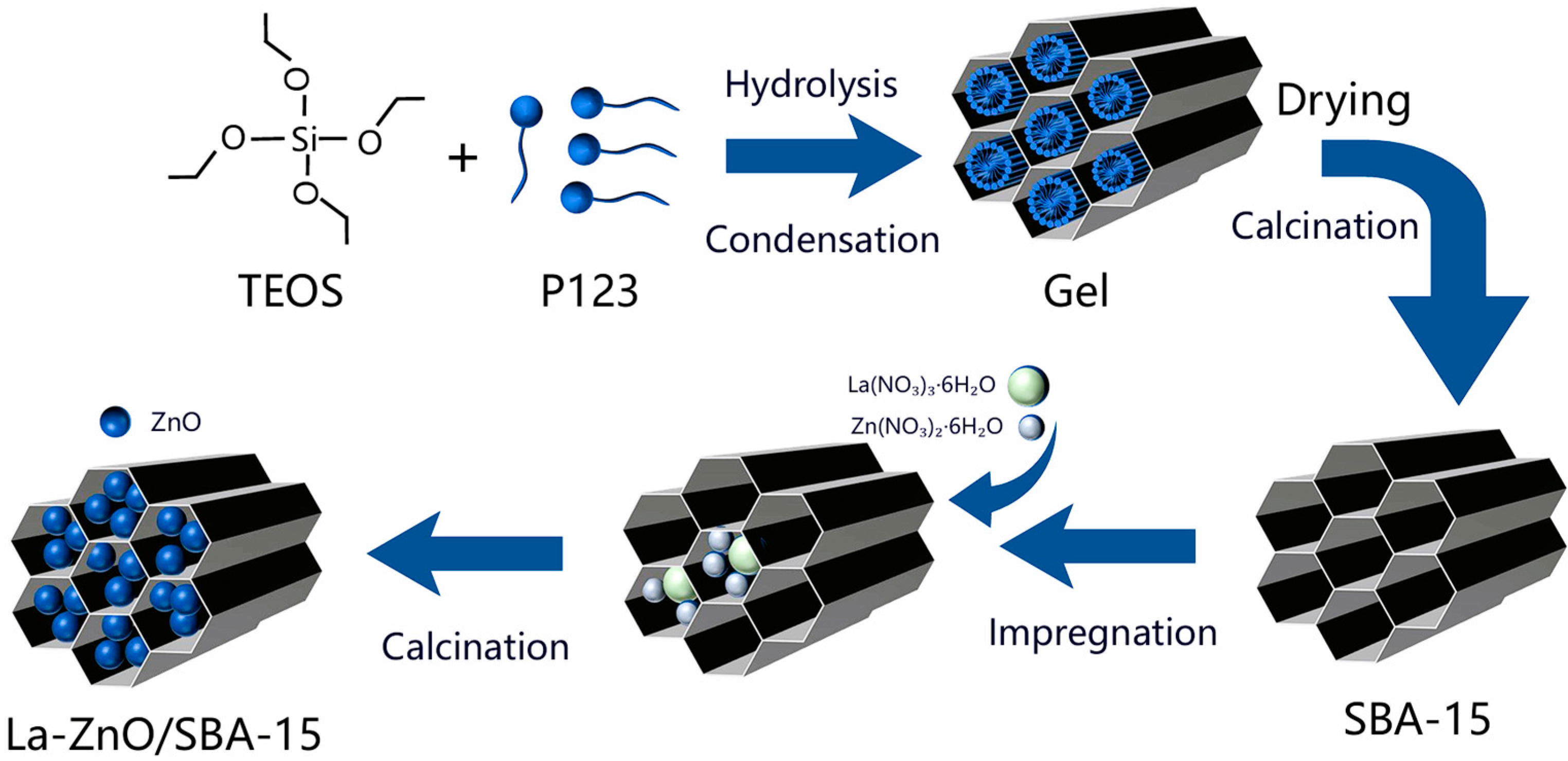 Molecules 30 04800 g012