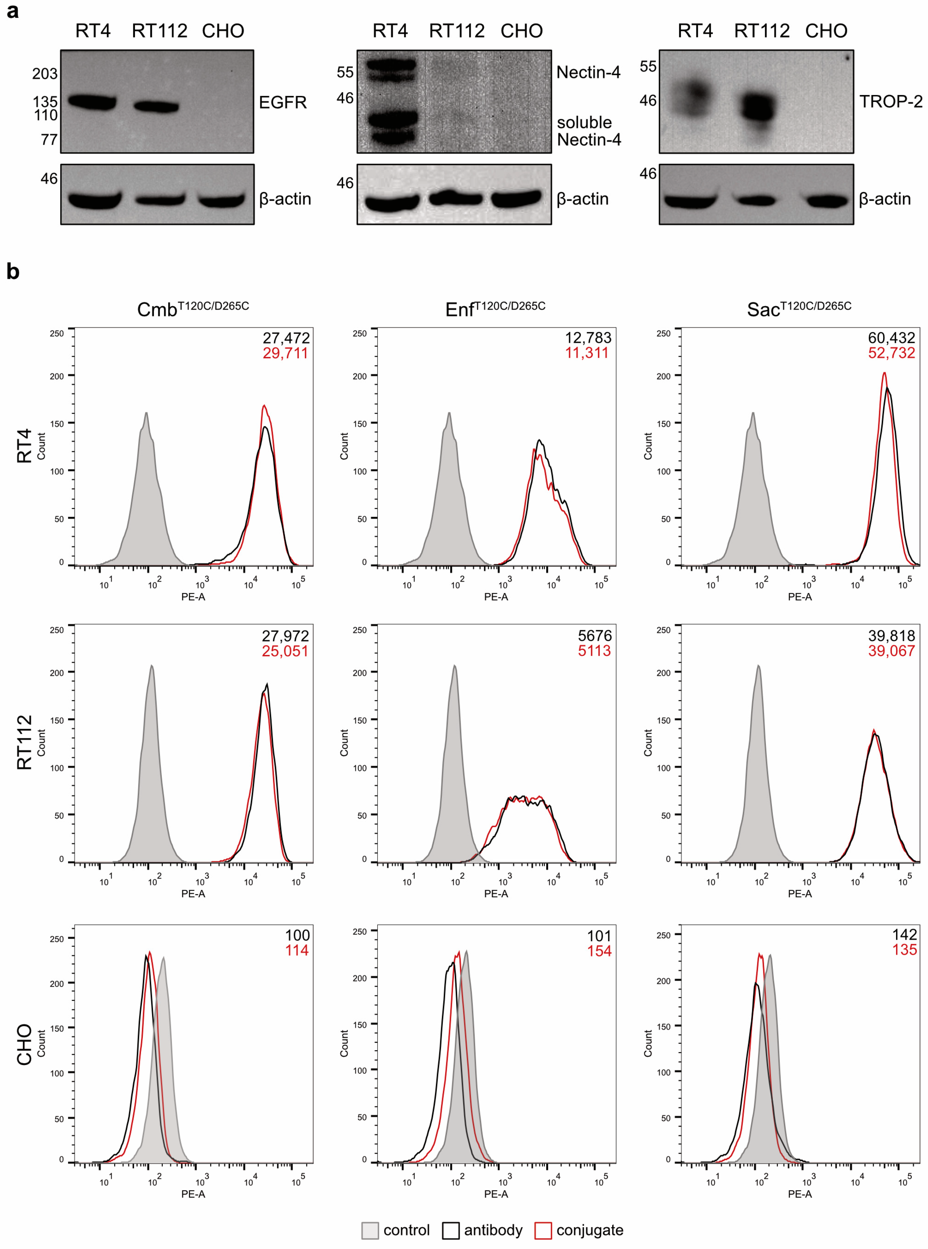 Molecules 30 04802 g003