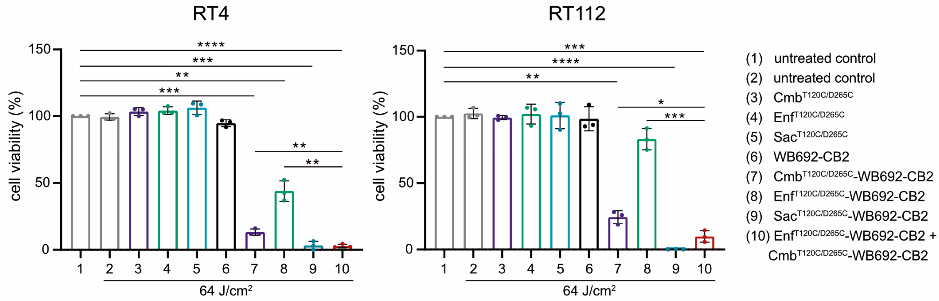 Molecules 30 04802 g005