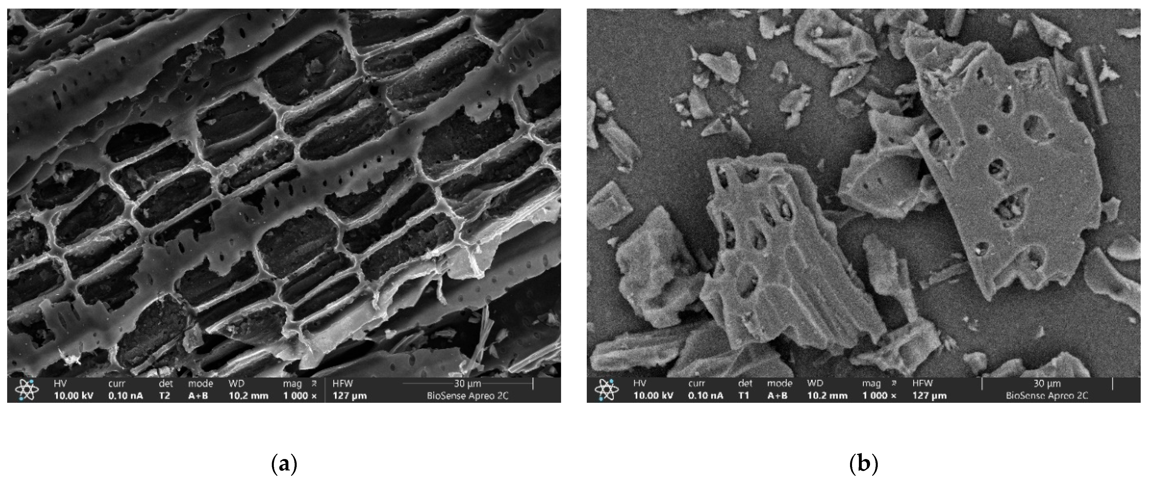 Molecules 30 04803 g004 Molecules 30 04803 g004