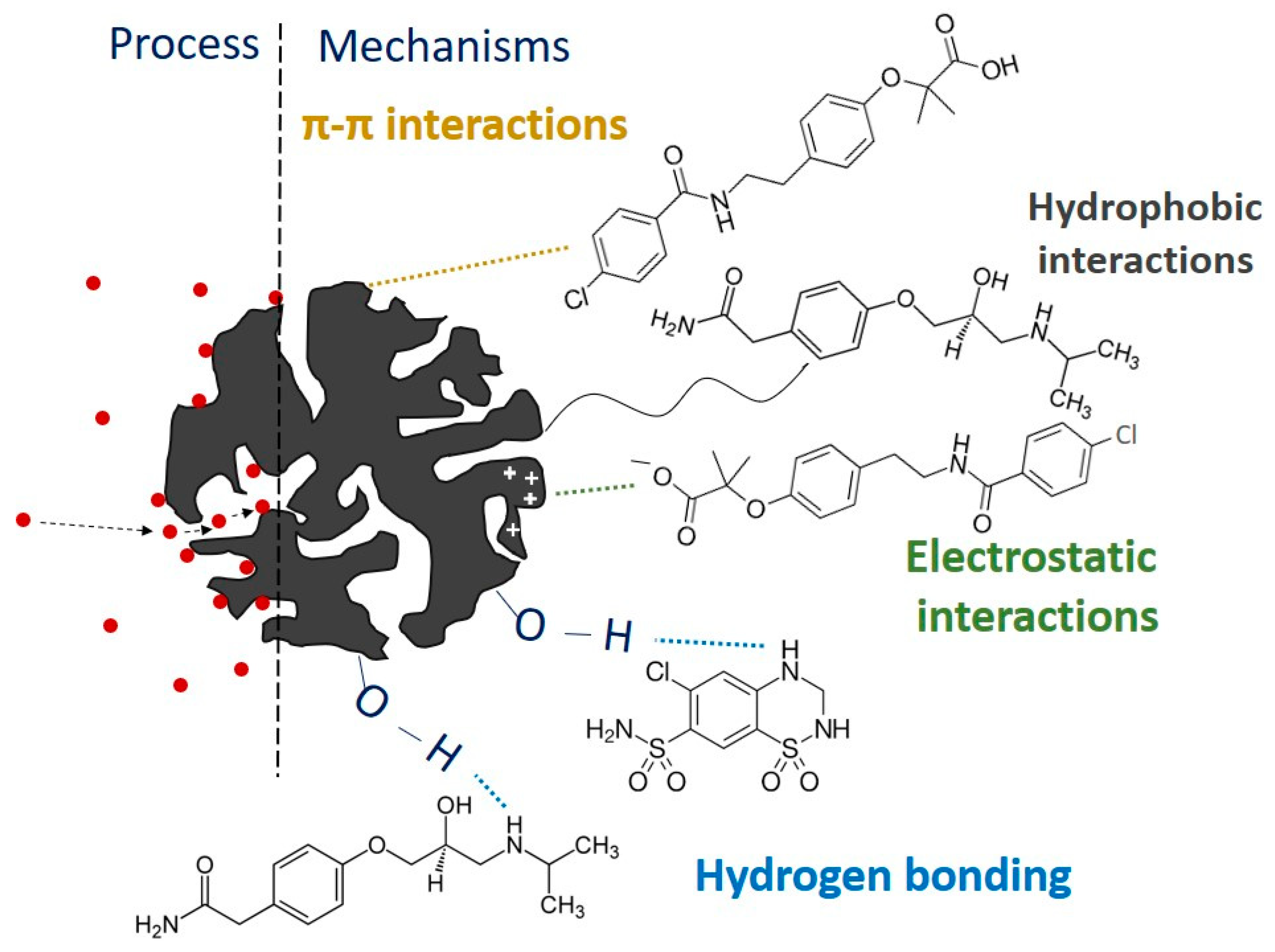 Molecules 30 04803 g008 Molecules 30 04803 g008