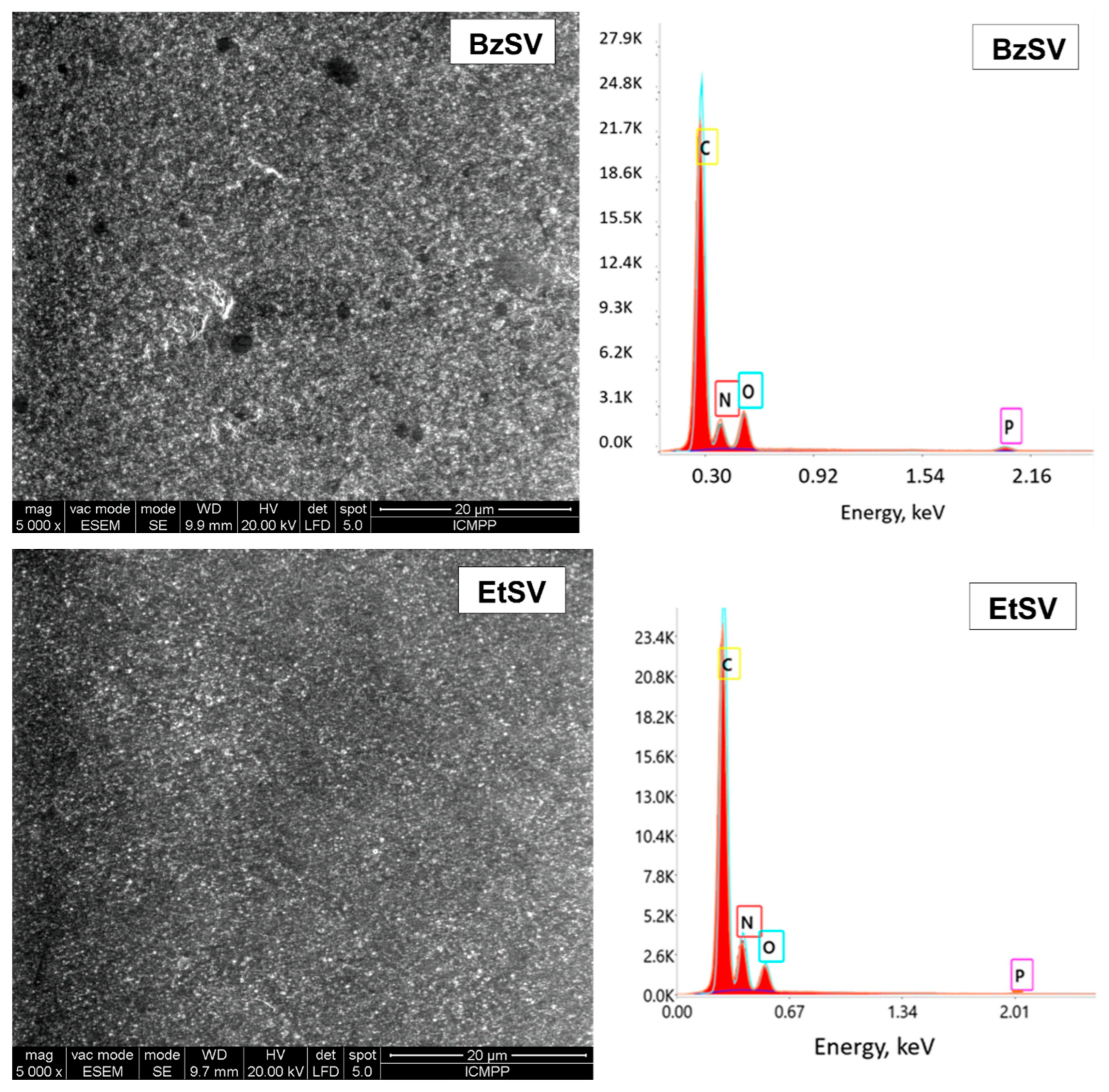 Molecules 30 04805 g001b Molecules 30 04805 g001b