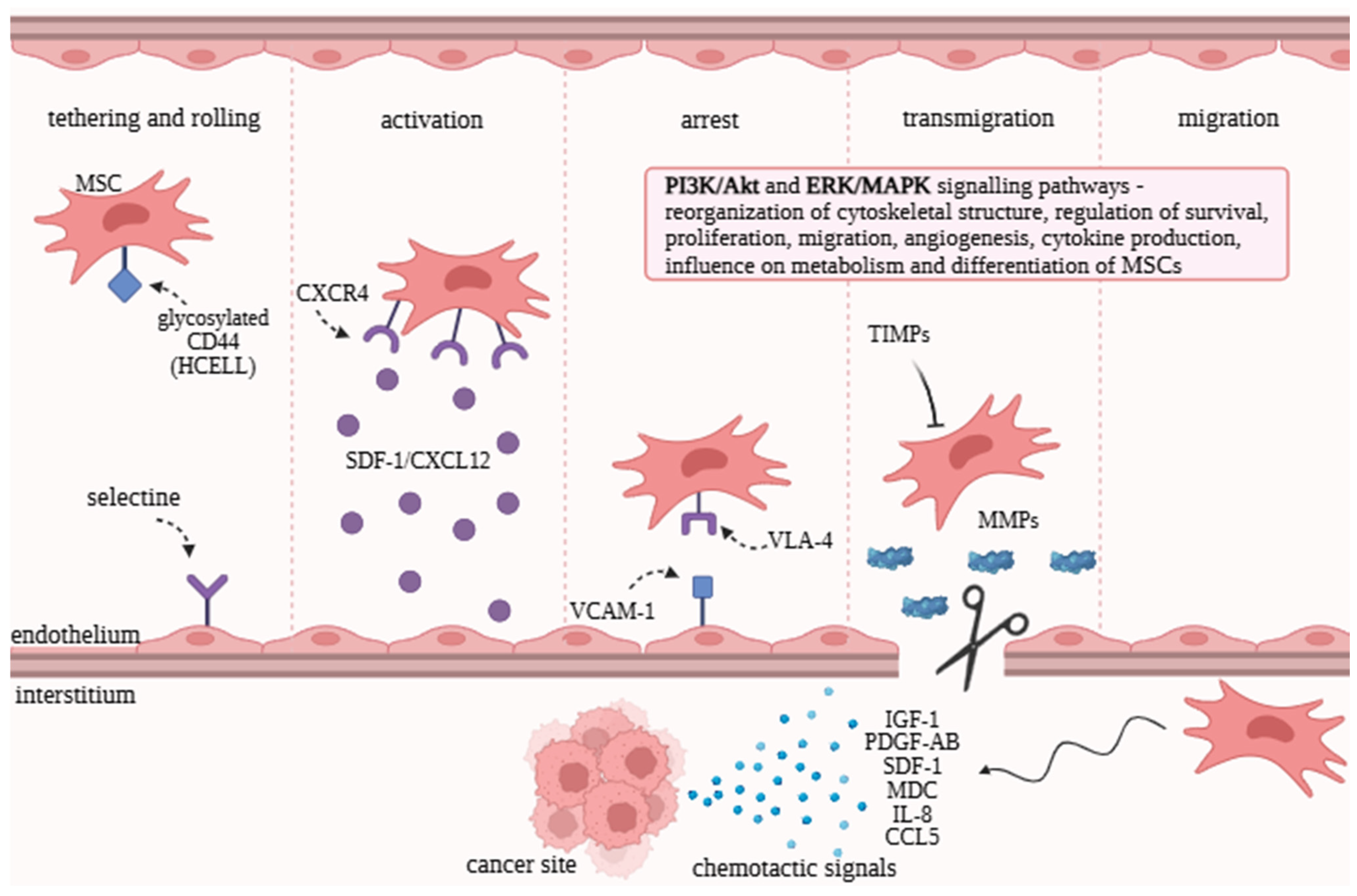 Molecules 30 04808 g001