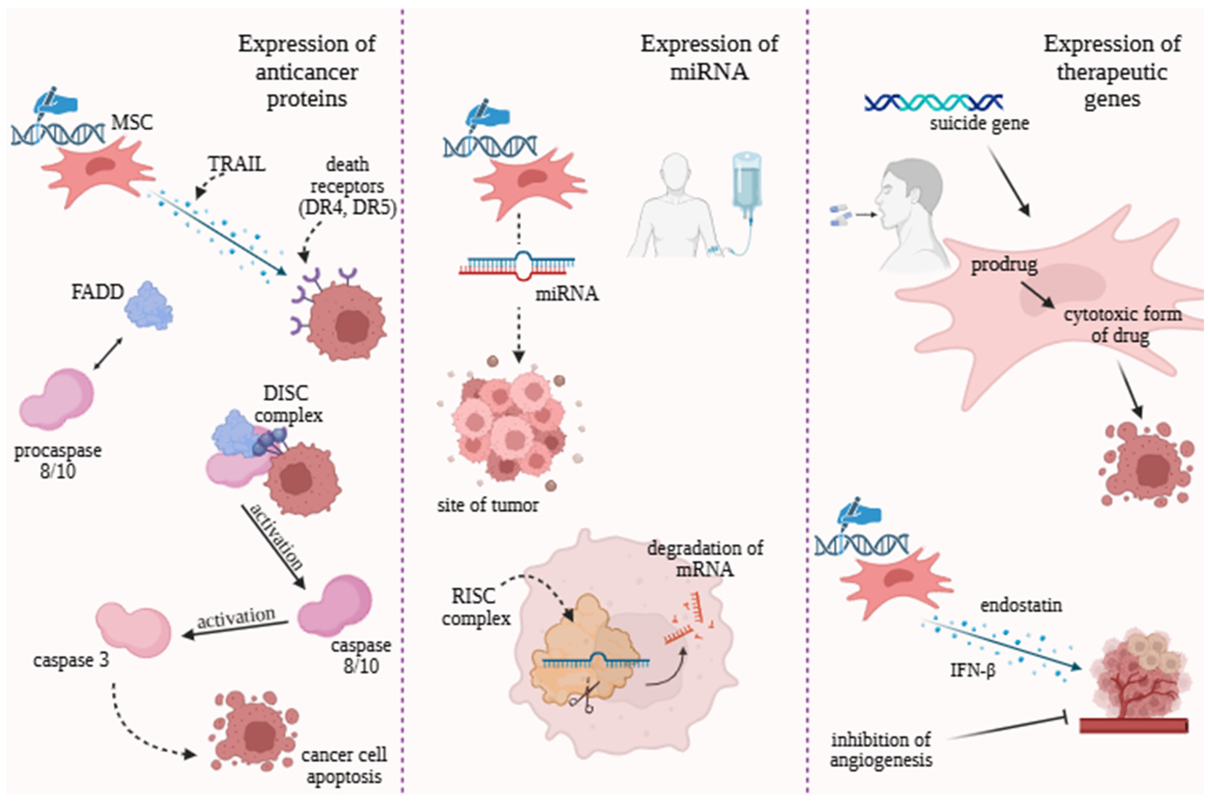 Molecules 30 04808 g002