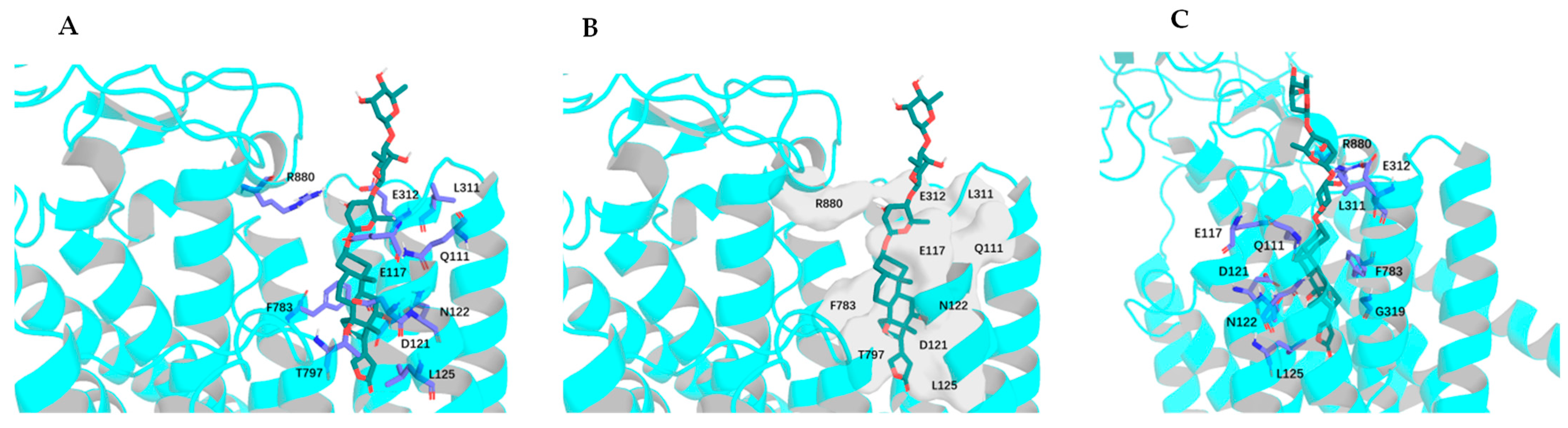 Molecules 30 04815 g004 Molecules 30 04815 g004