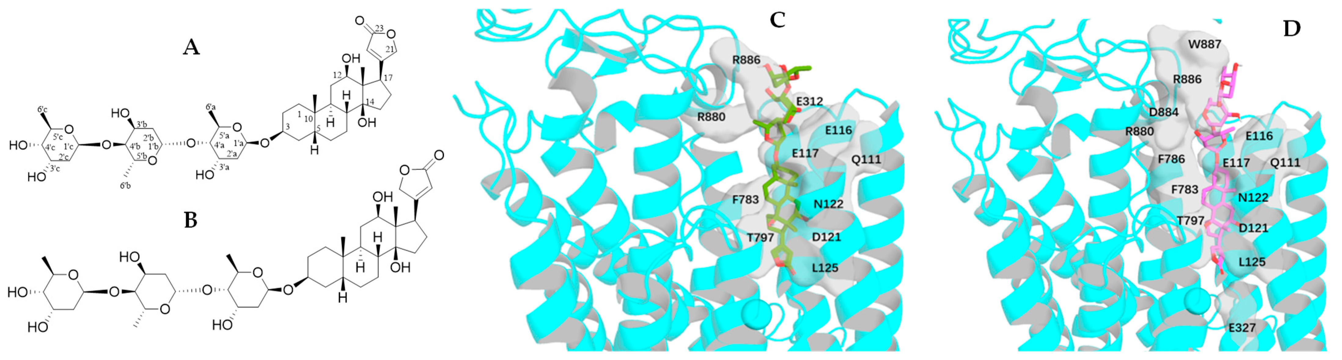 Molecules 30 04815 g005 Molecules 30 04815 g005
