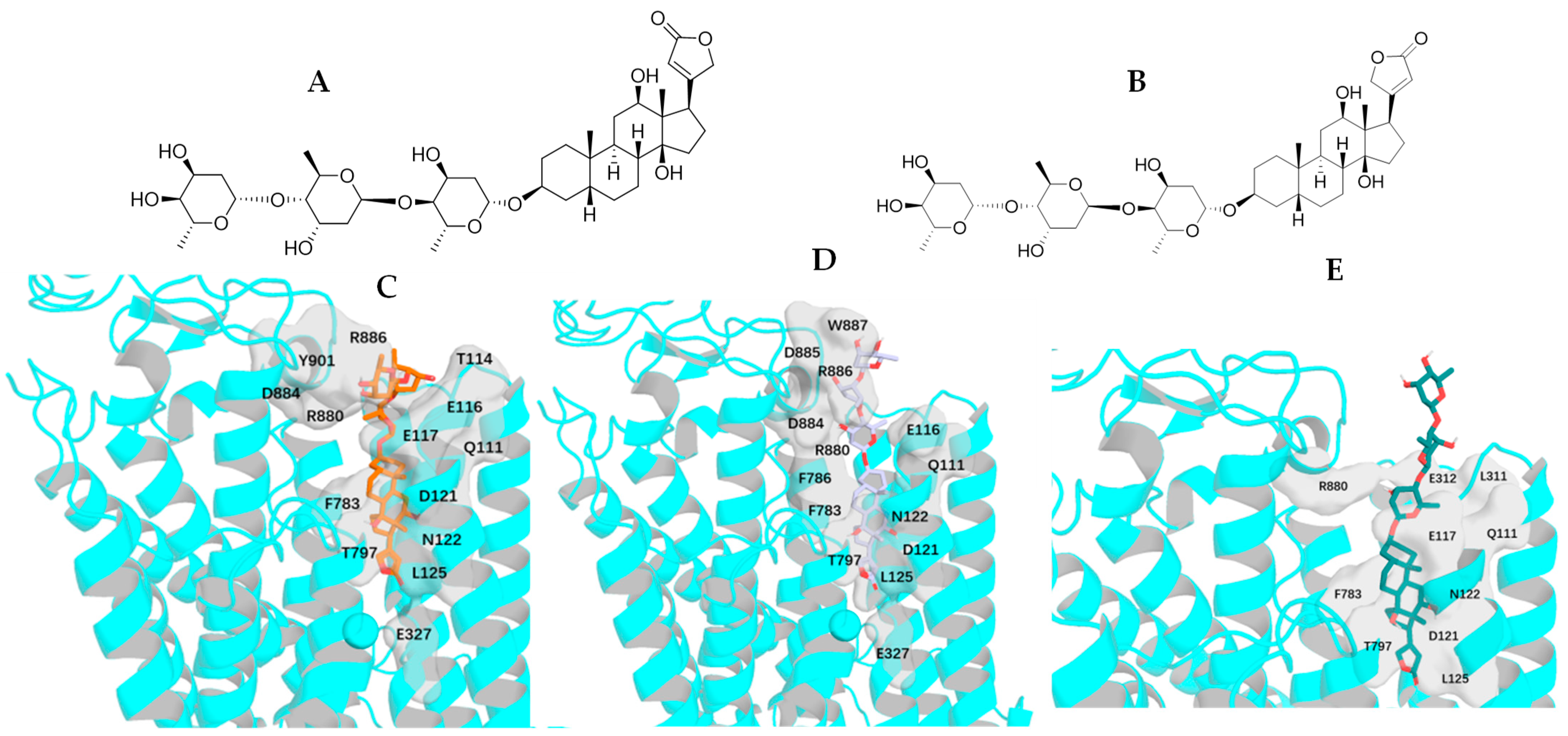 Molecules 30 04815 g006 Molecules 30 04815 g006