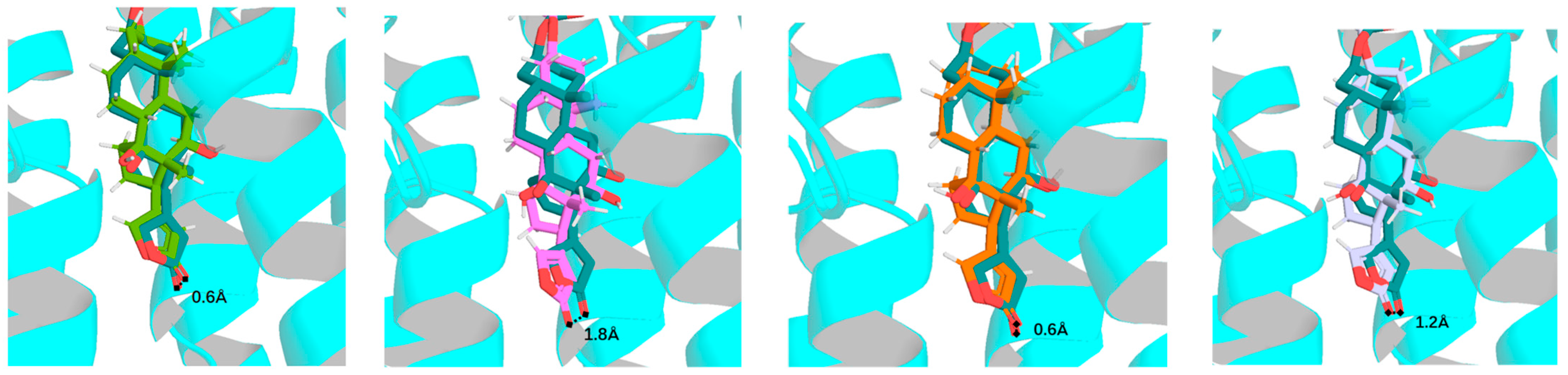 Molecules 30 04815 g007 Molecules 30 04815 g007