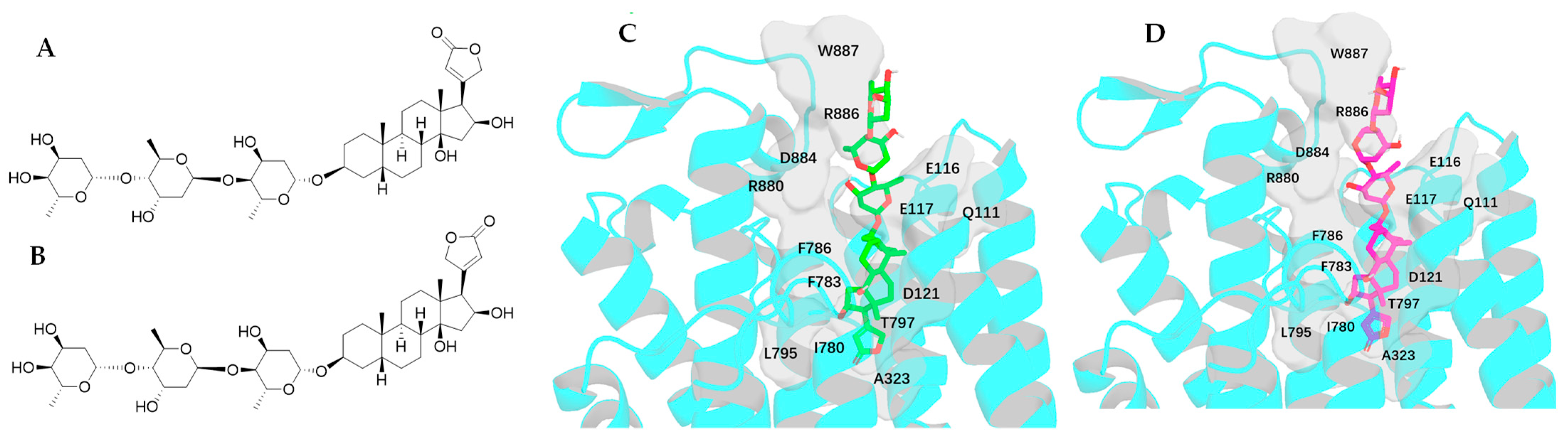 Molecules 30 04815 g011 Molecules 30 04815 g011