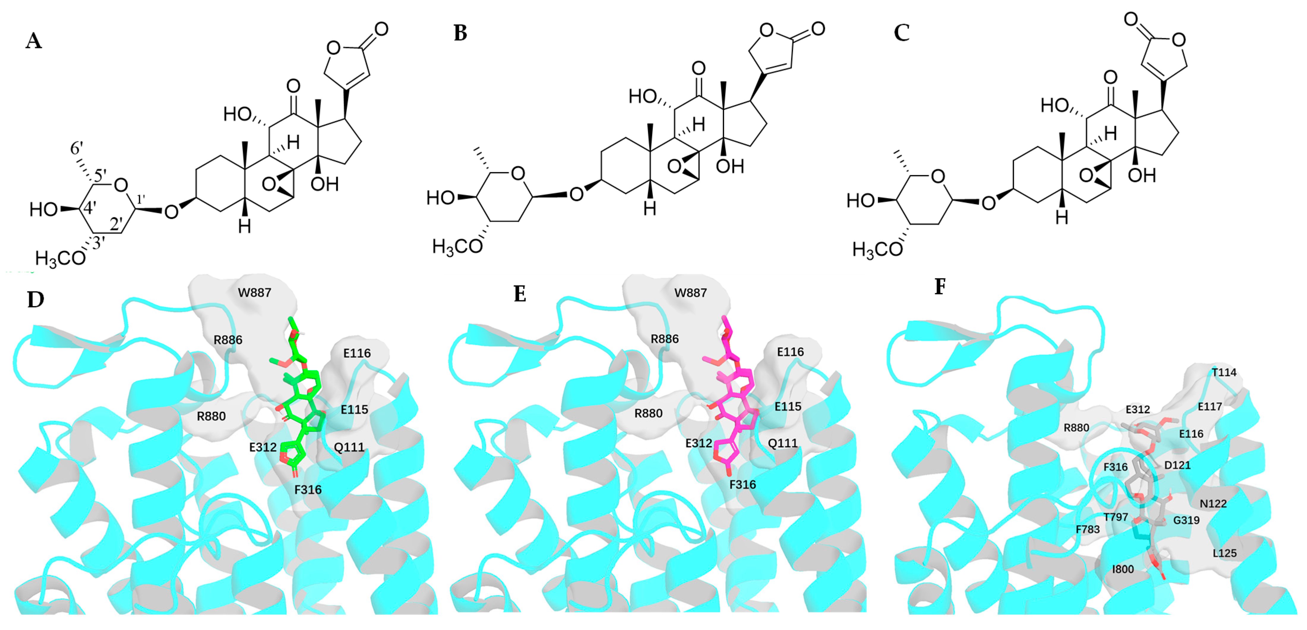 Molecules 30 04815 g013 Molecules 30 04815 g013