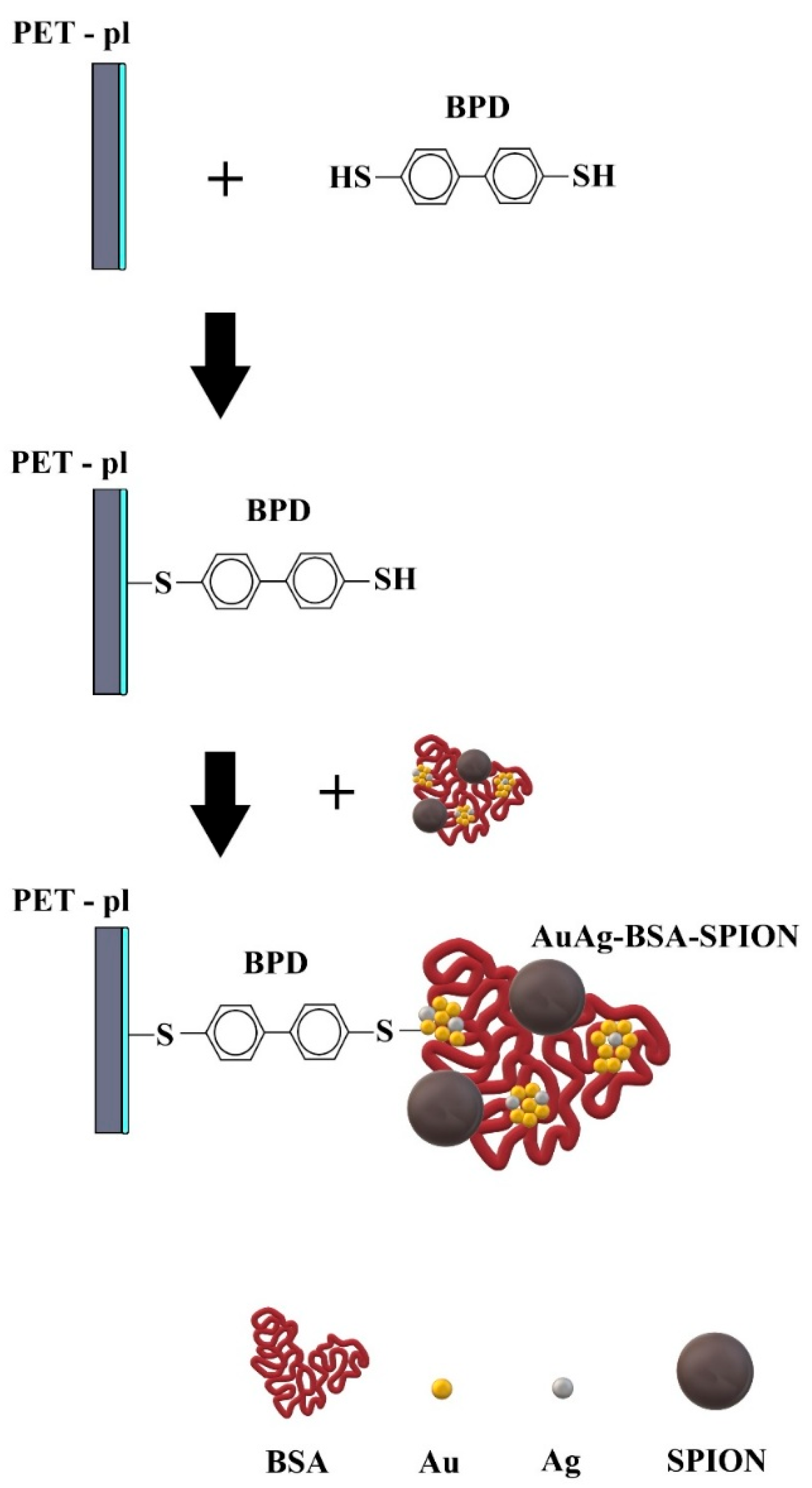 Molecules 30 04820 sch001