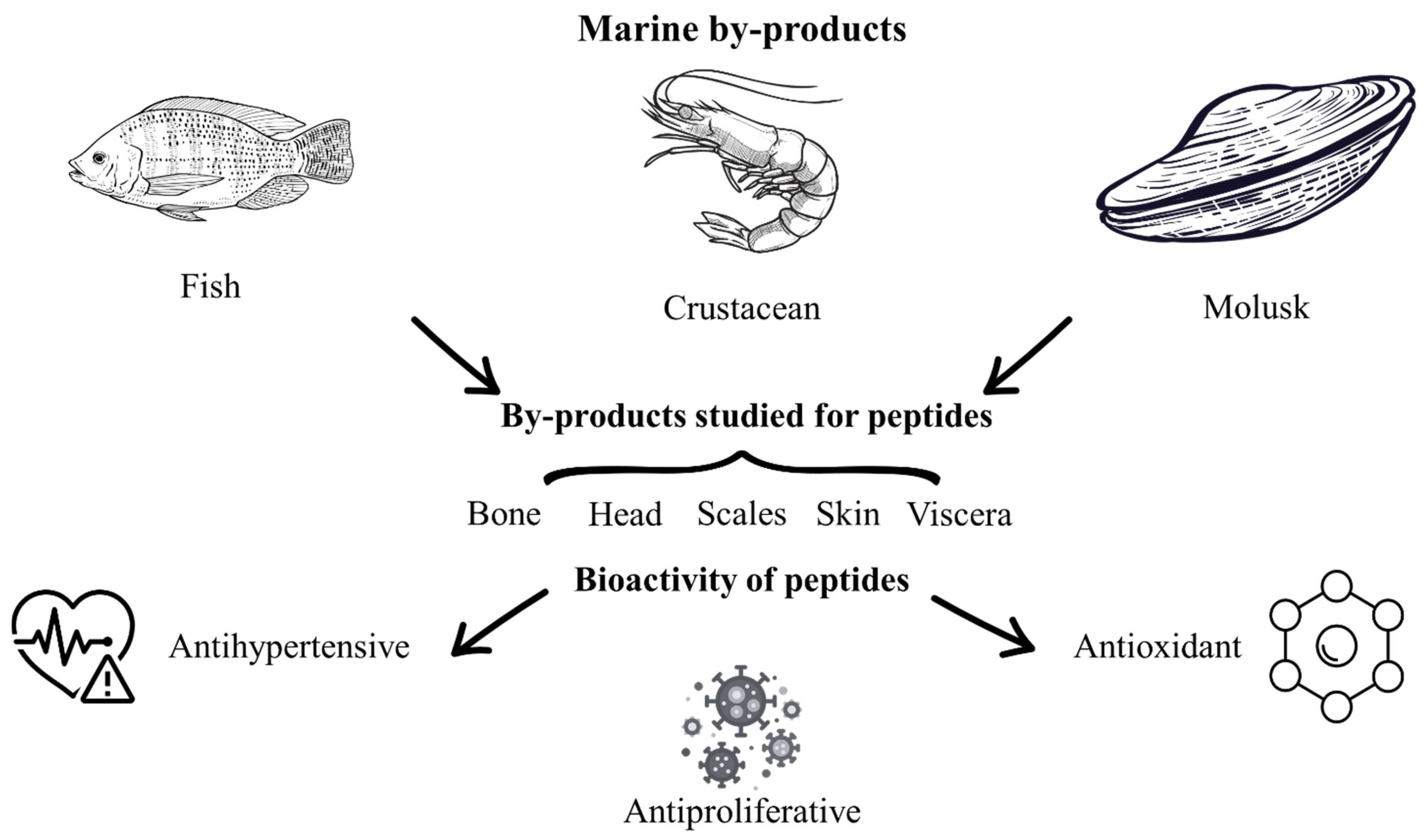 Molecules 30 04821 g002 Molecules 30 04821 g002