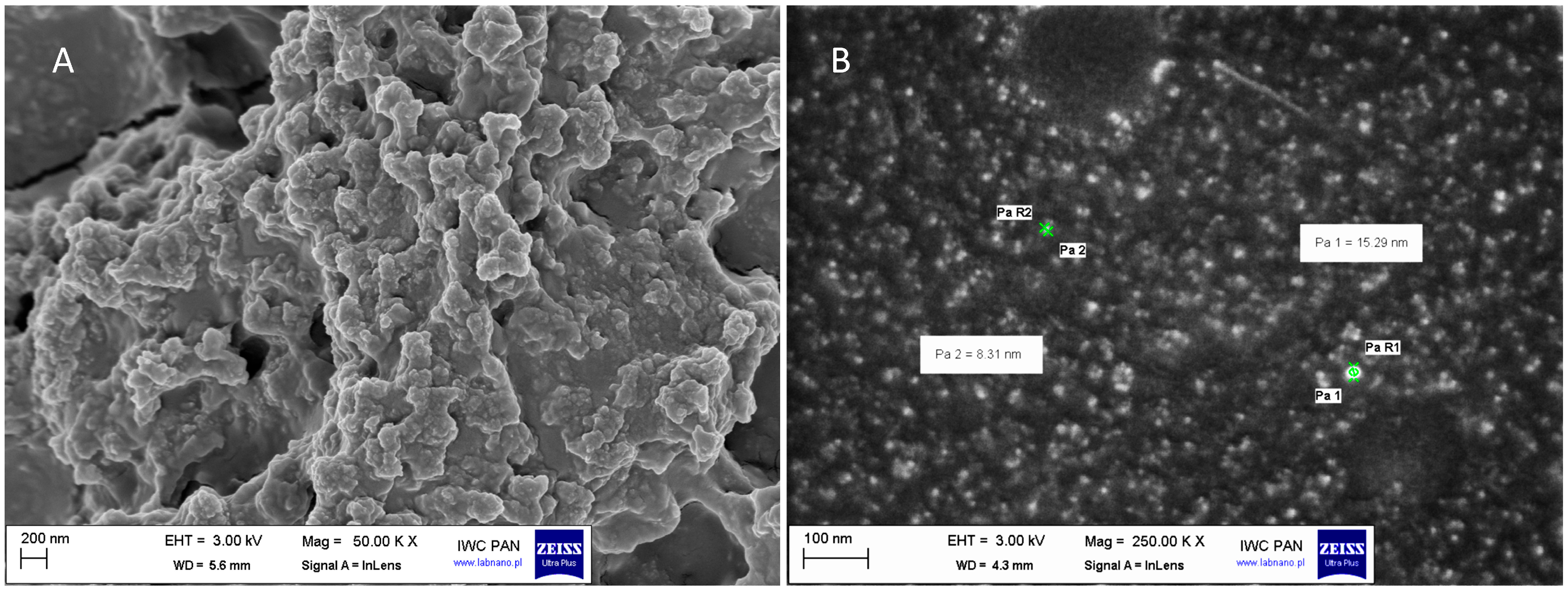 Molecules 31 00003 g001