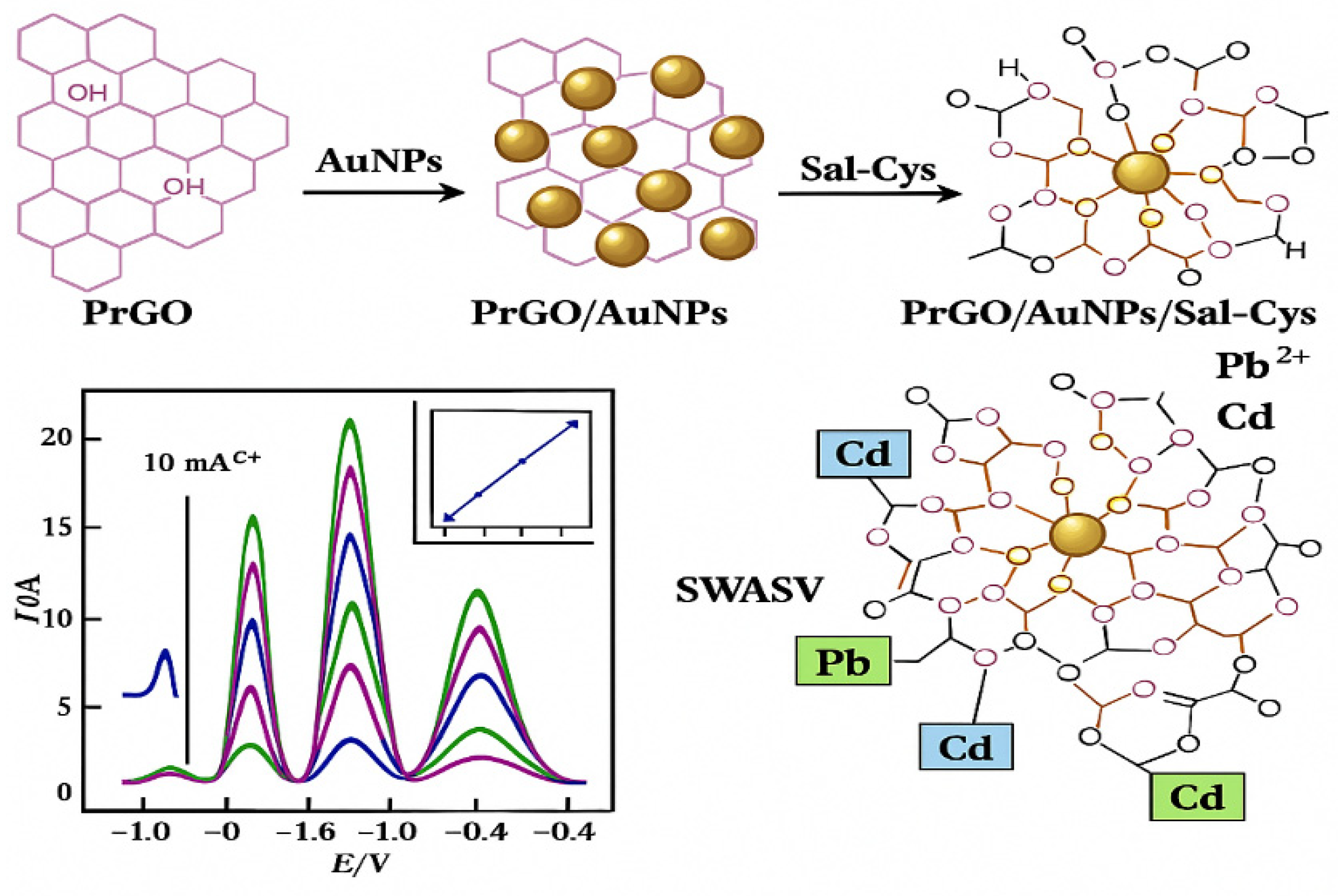 Molecules 31 00005 g003