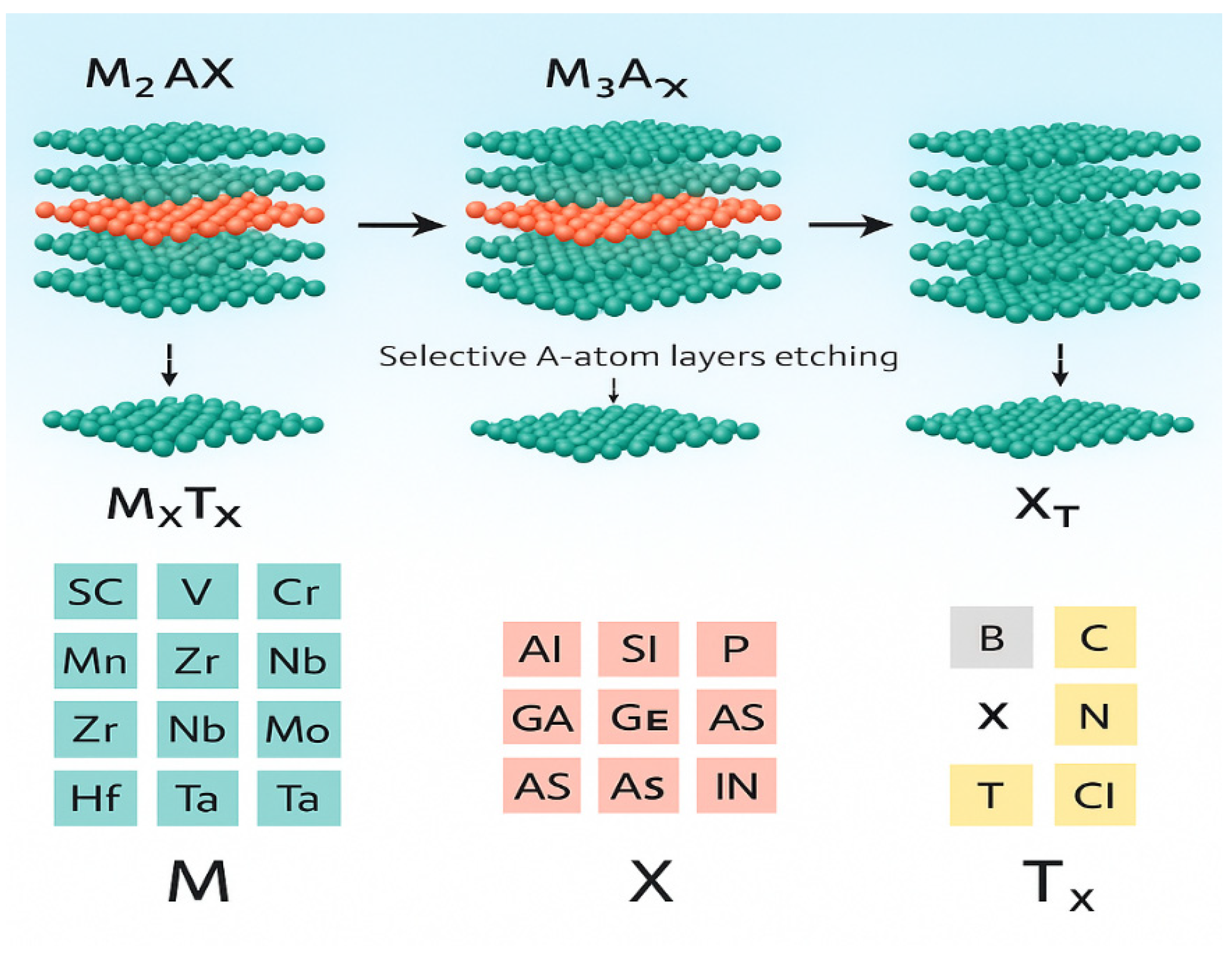 Molecules 31 00005 g005