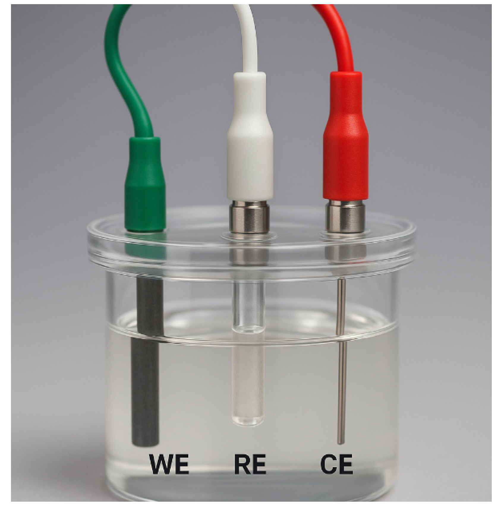 Molecules 31 00005 g006