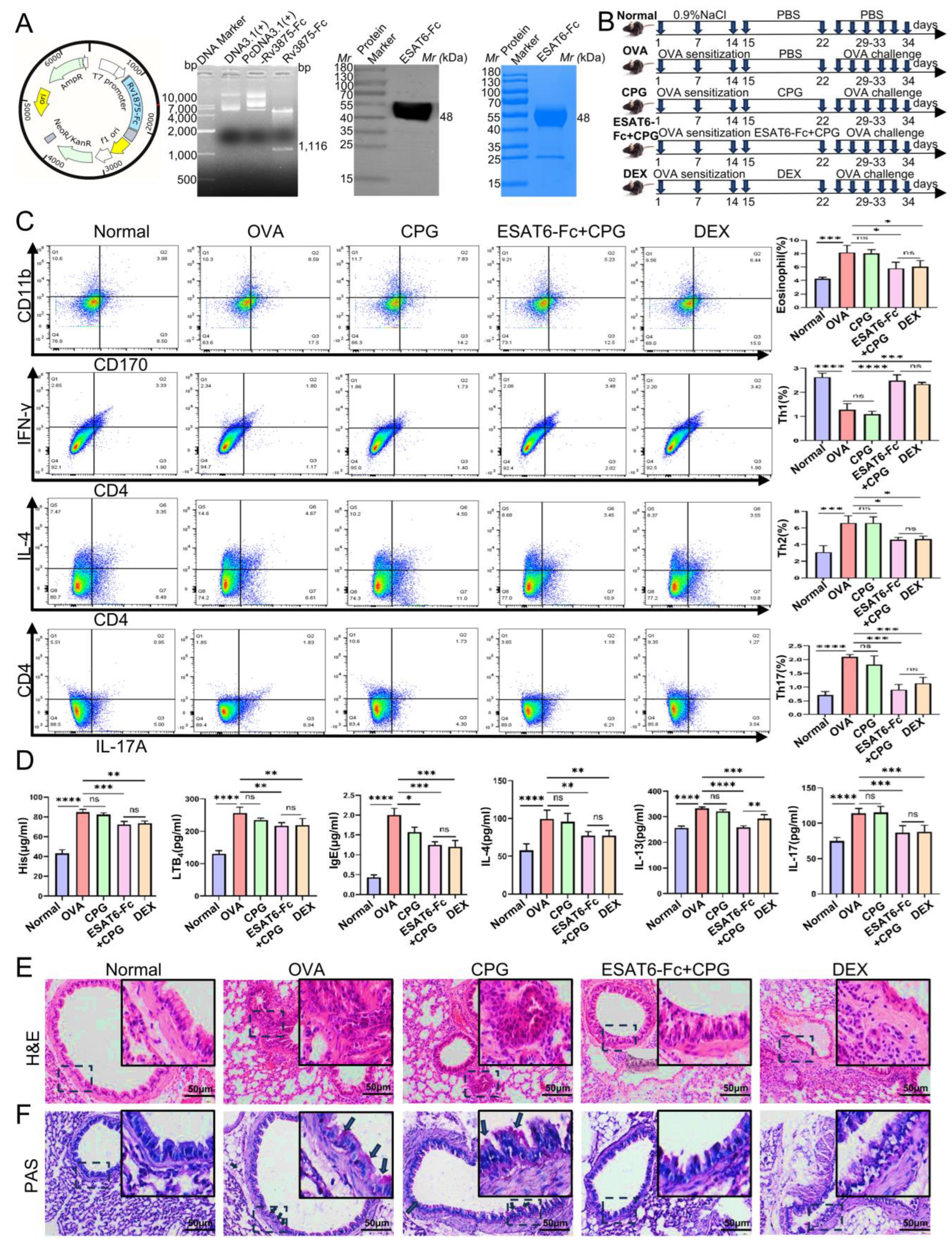 Molecules 31 00007 g001