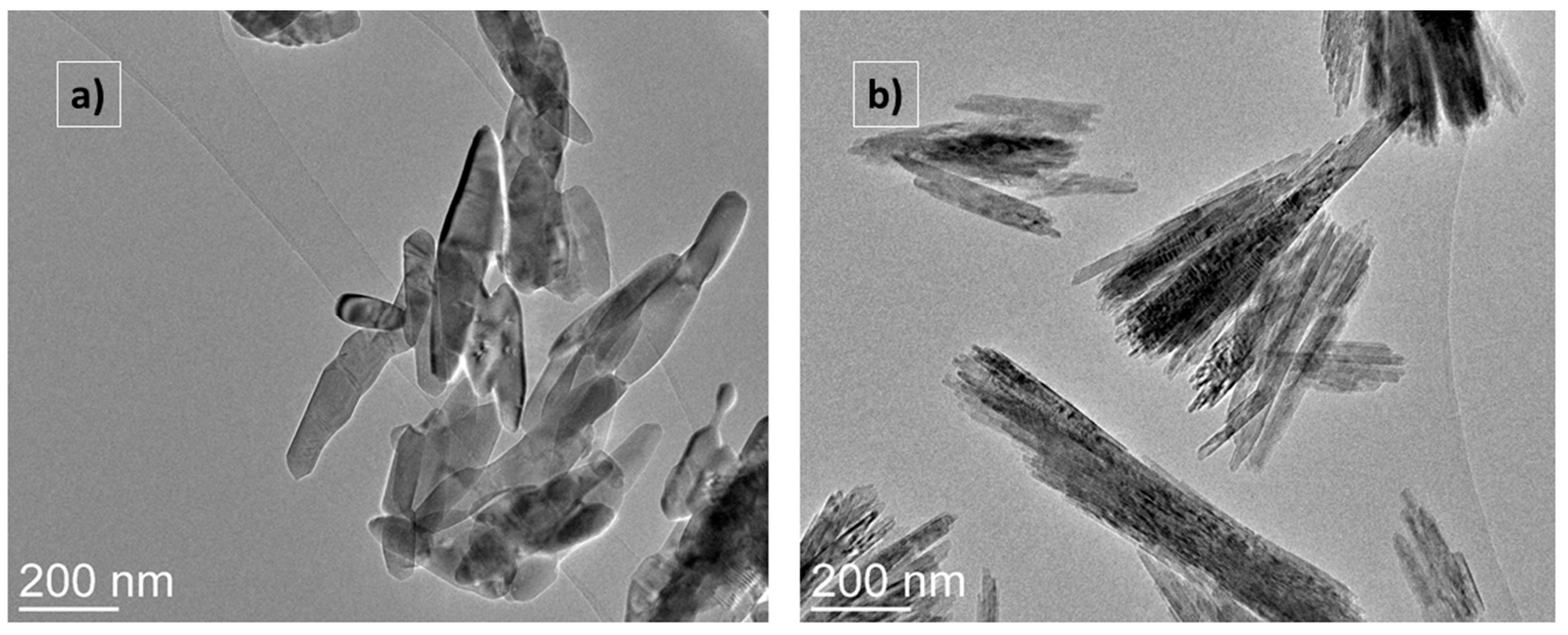 Molecules 31 00008 g003