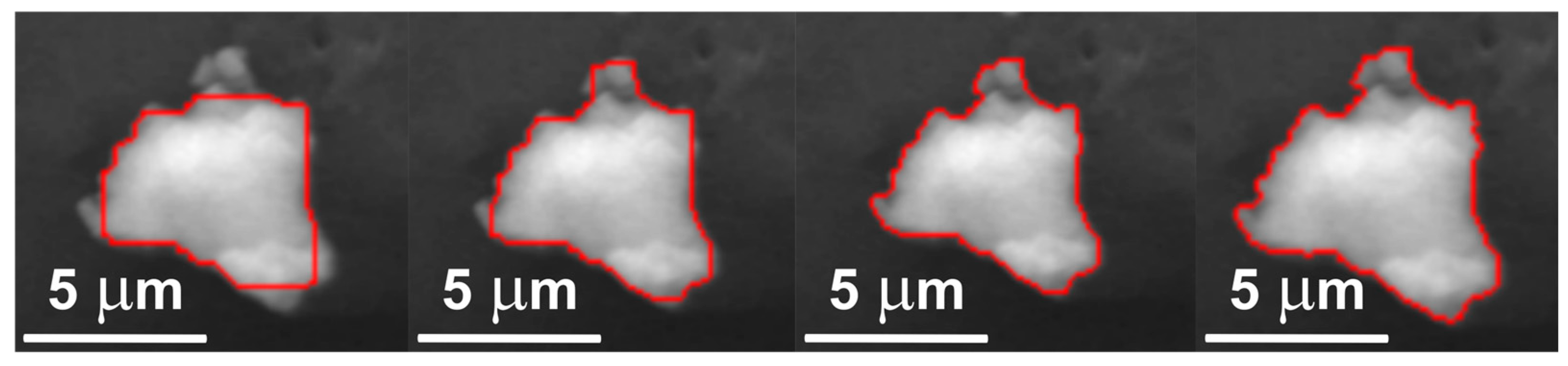 Molecules 31 00009 g002 Molecules 31 00009 g002