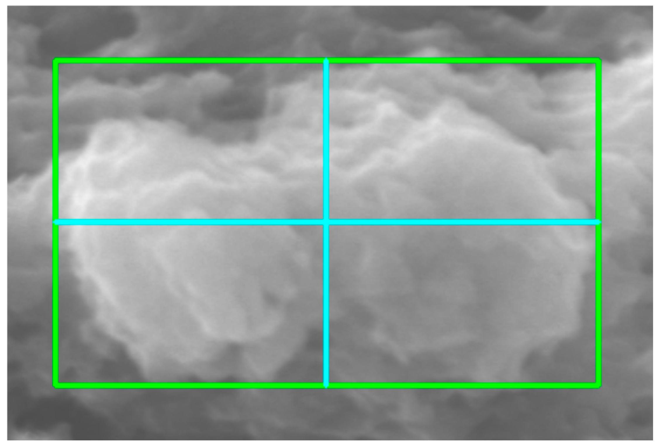 Molecules 31 00009 g003 Molecules 31 00009 g003