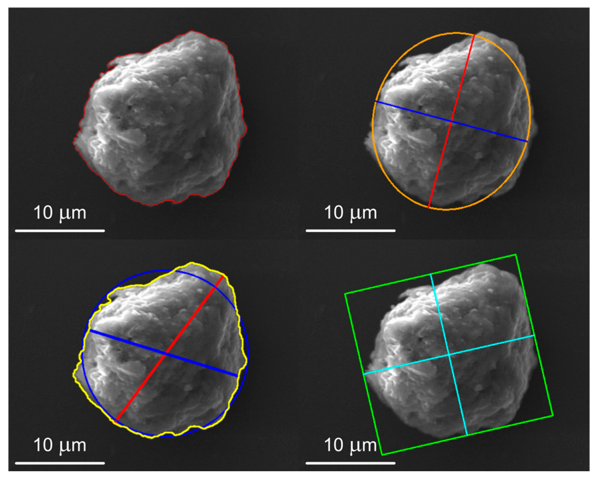 Molecules 31 00009 g012 Molecules 31 00009 g012
