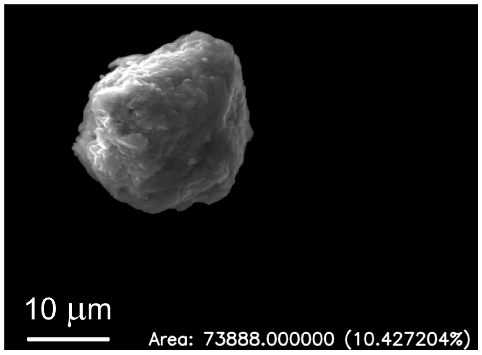 Molecules 31 00009 g013 Molecules 31 00009 g013