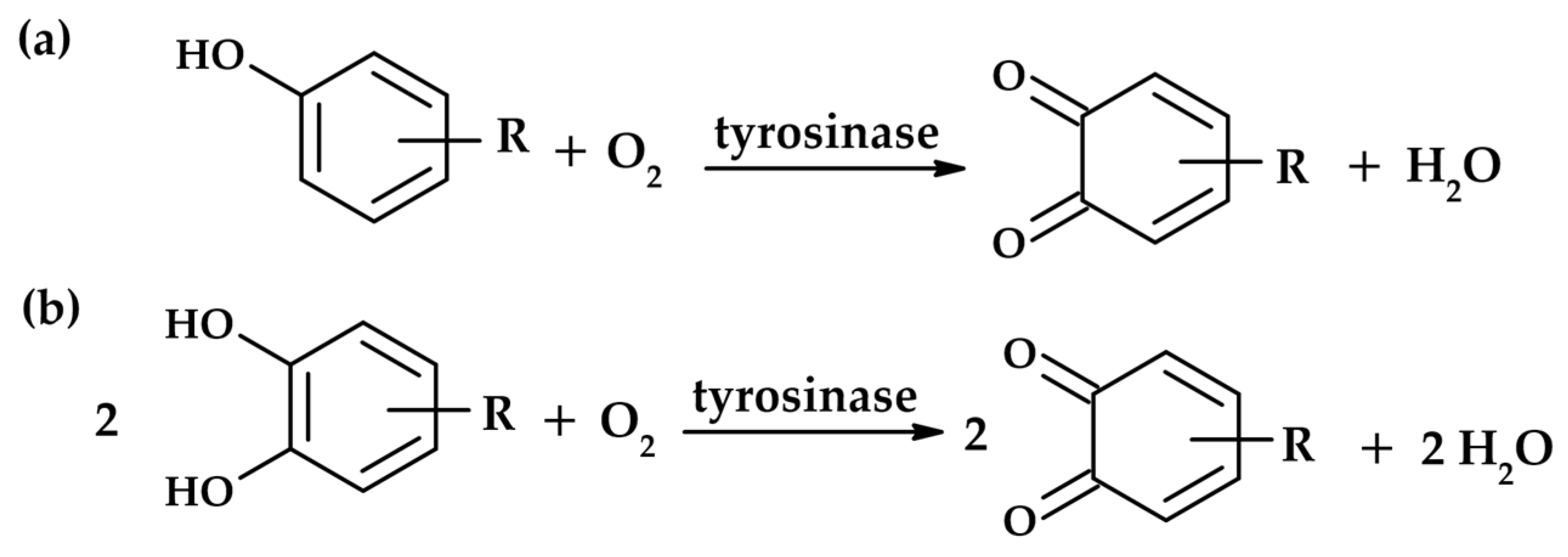 Molecules 31 00020 g001