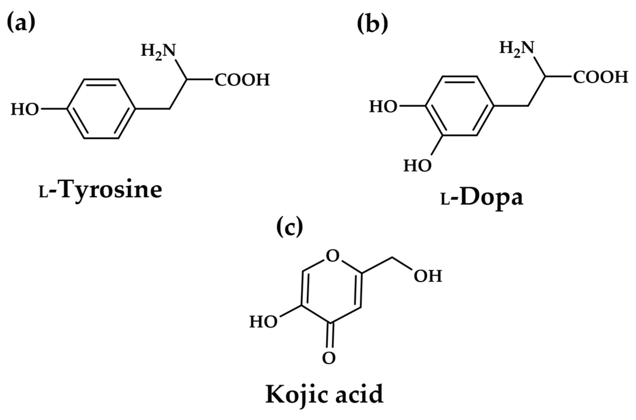 Molecules 31 00020 g003
