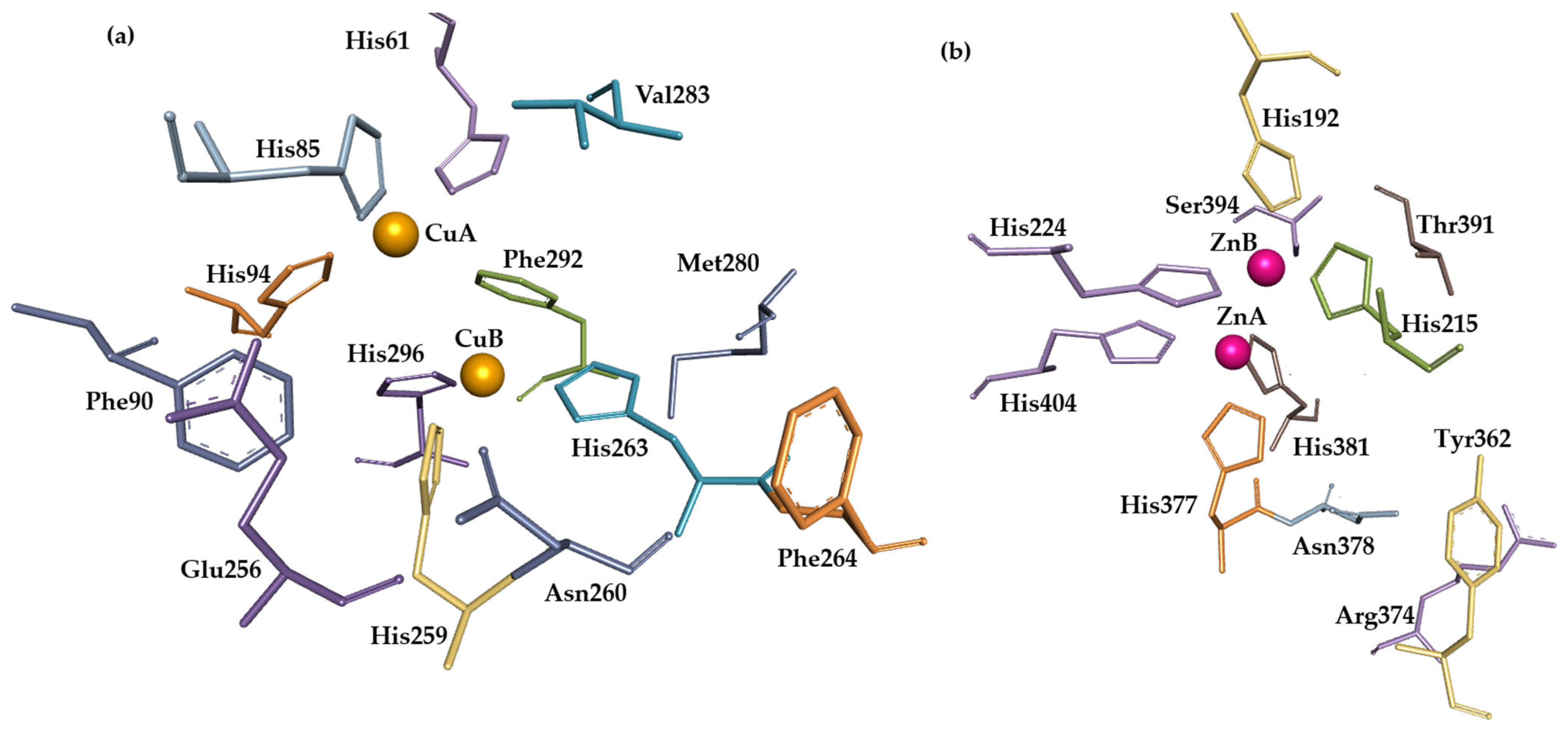Molecules 31 00020 g004