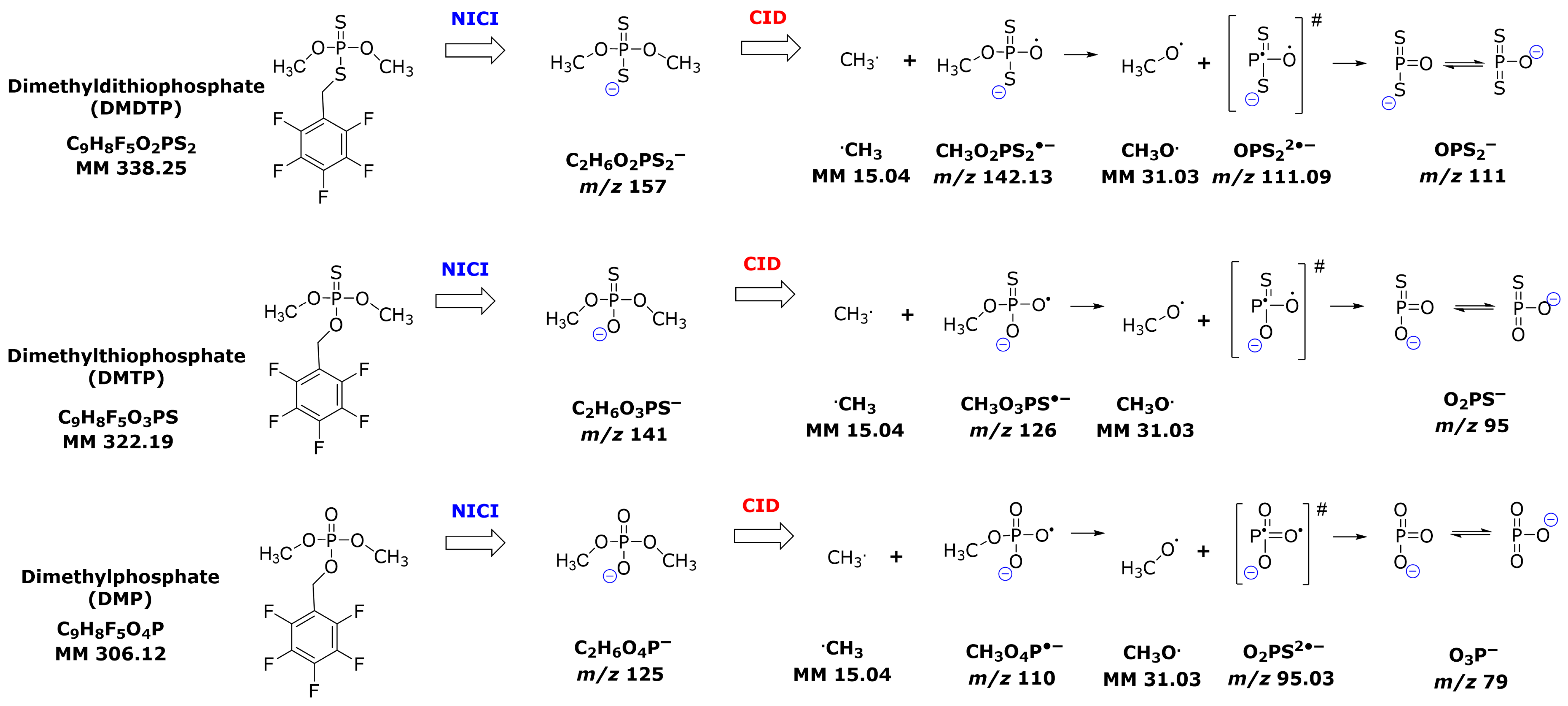 Molecules 31 00022 sch004