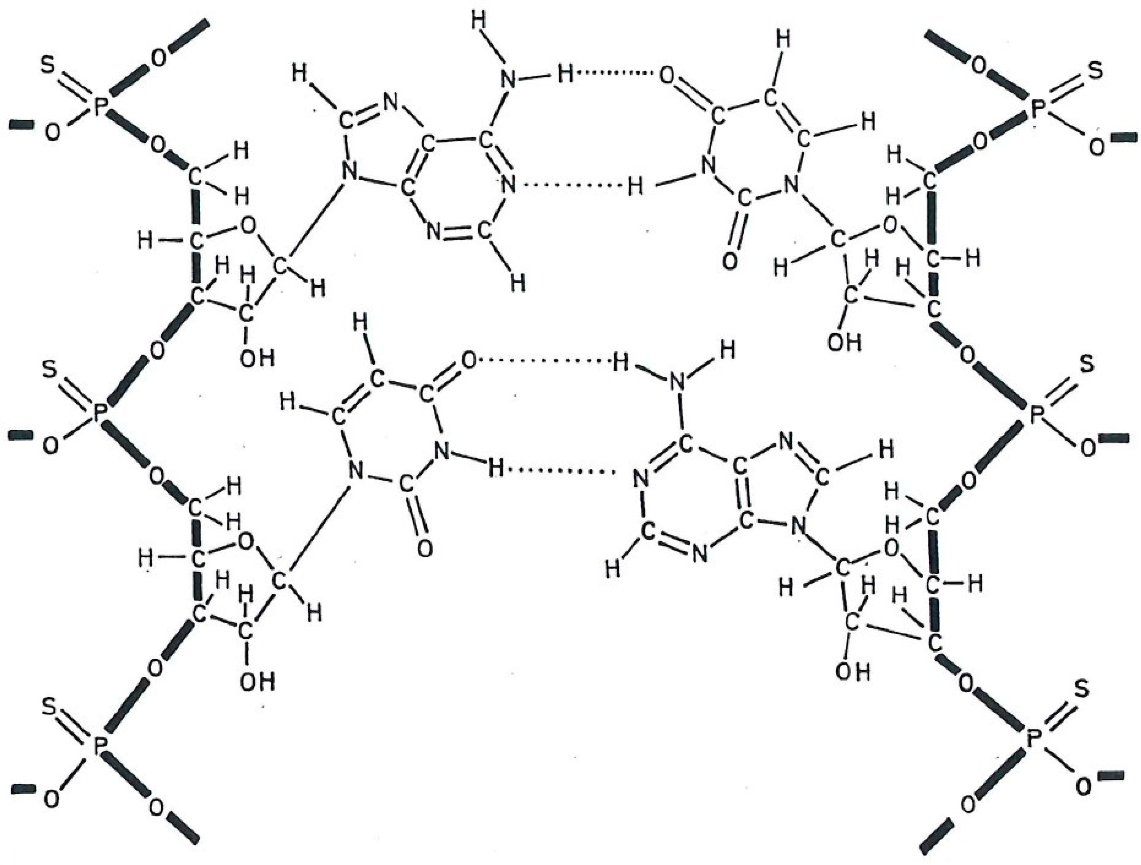 Molecules 31 00025 g003