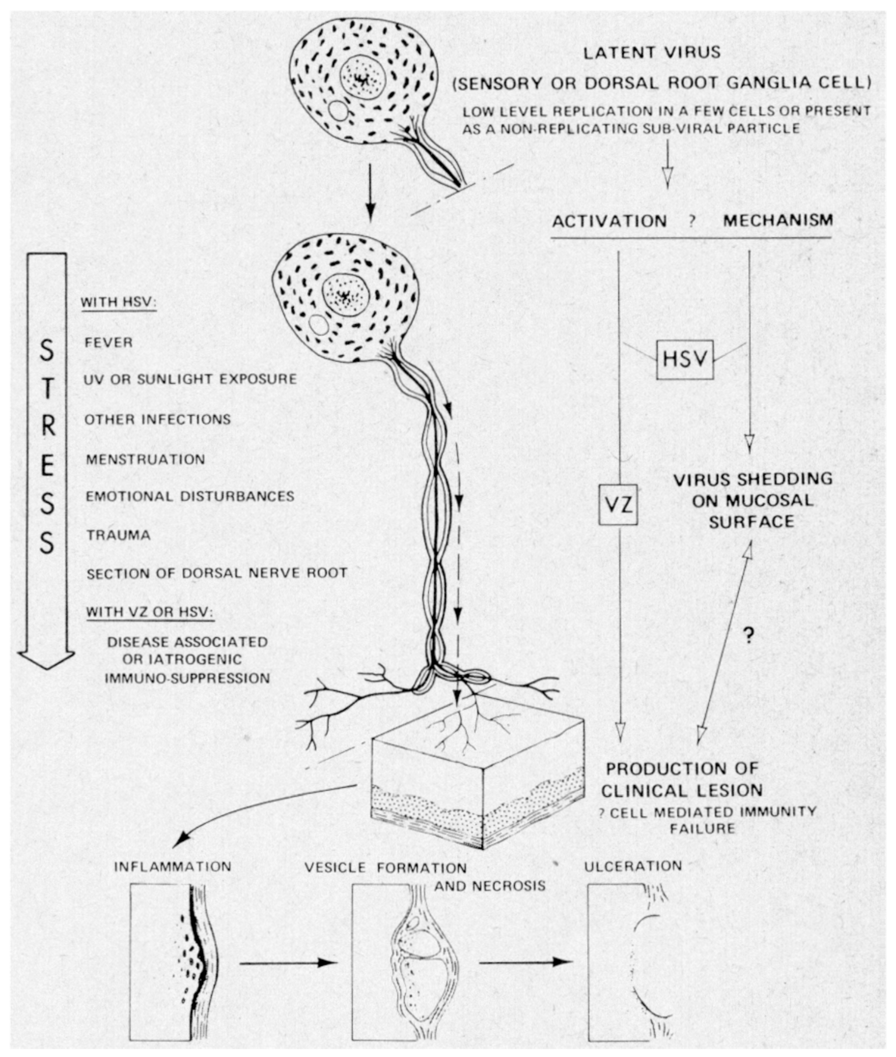 Molecules 31 00025 g004