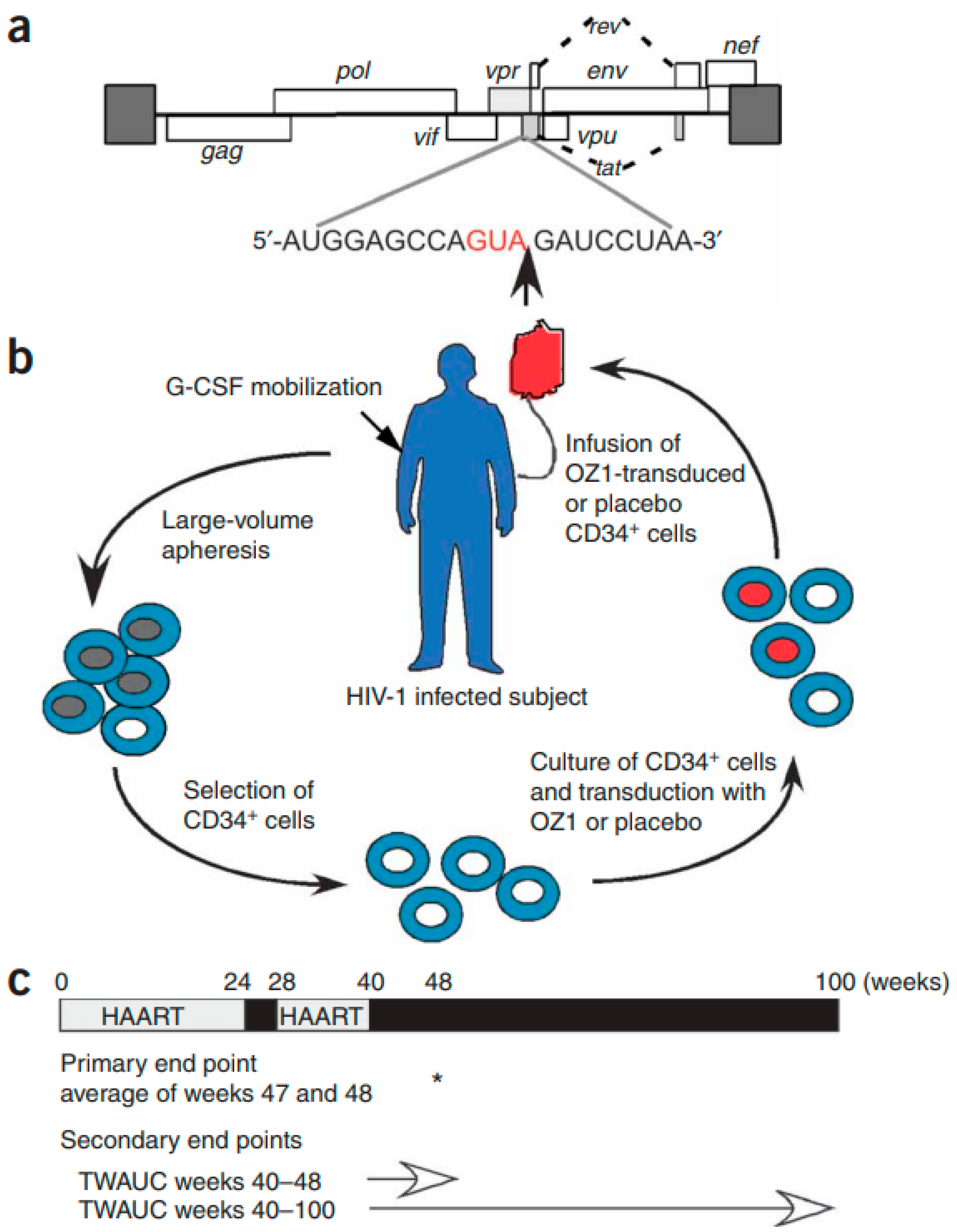 Molecules 31 00025 g010