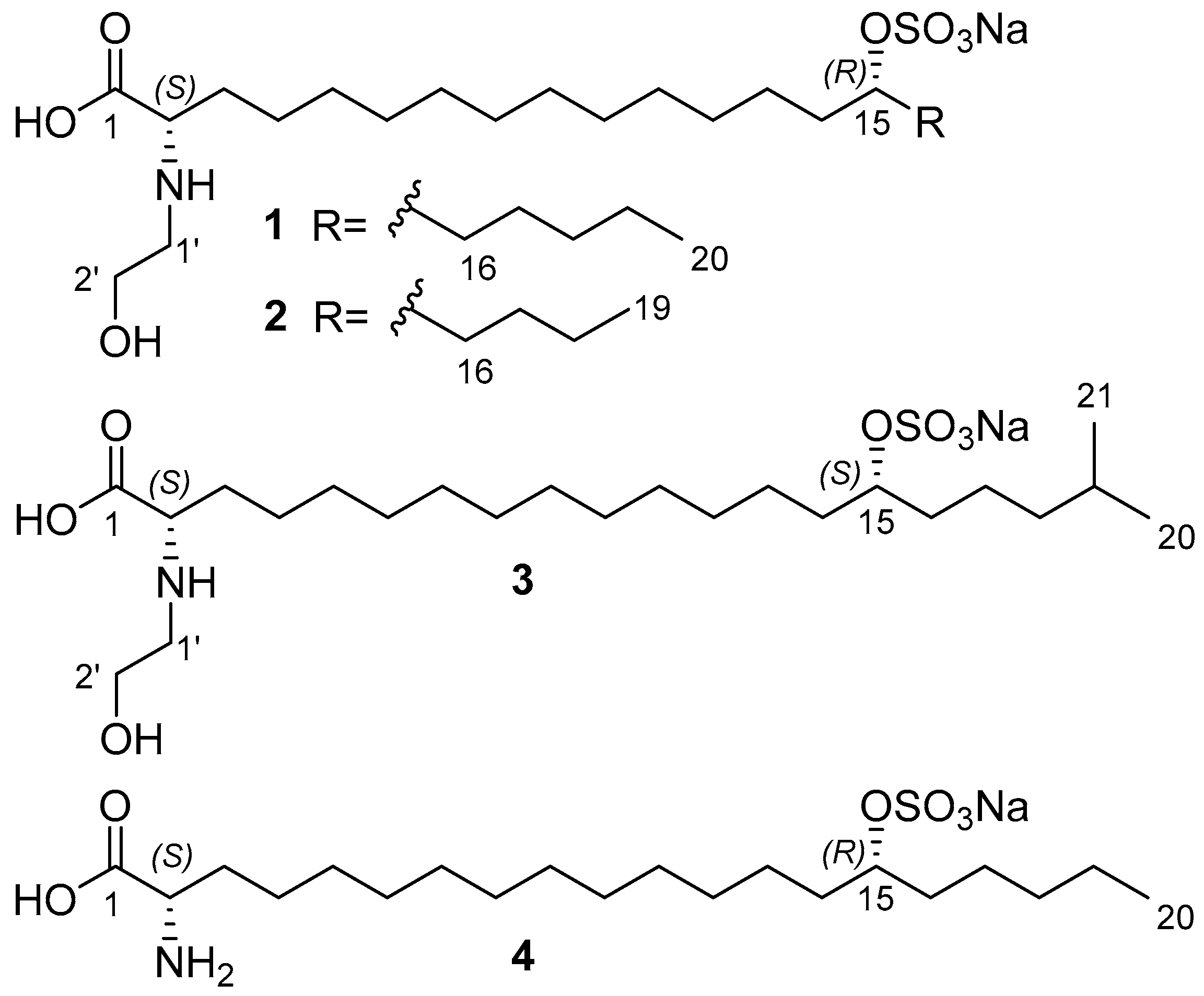 Molecules 31 00036 g001