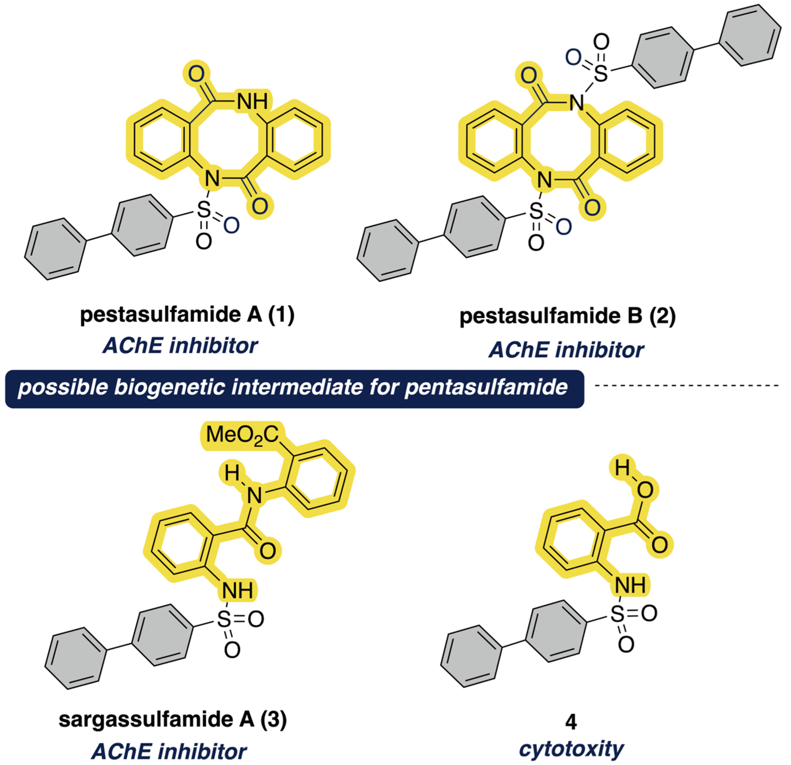 Synthesis Repertorium opathicum … Synthesis: Repertorium Homeopathicum Syntheticum - Frederik