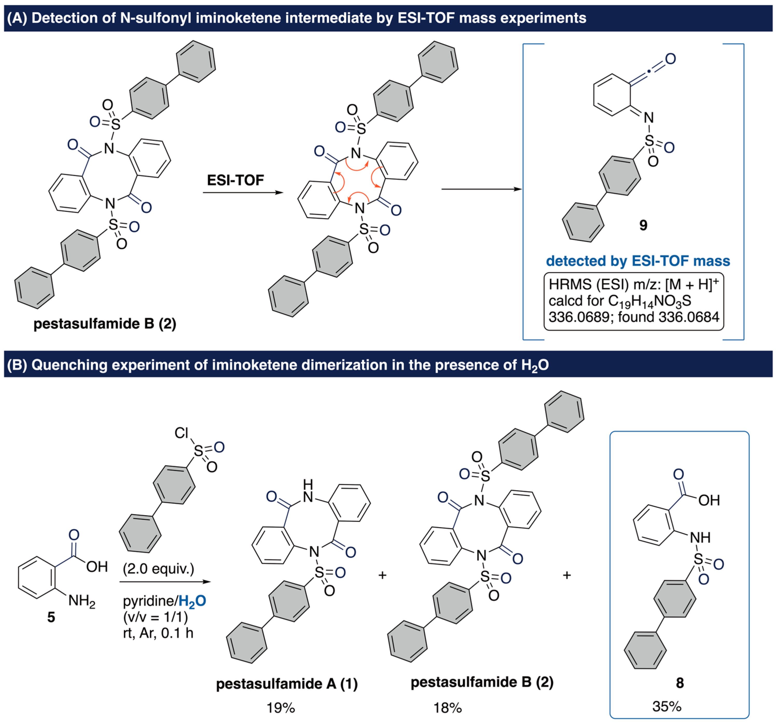 First Total Synthesis of Pestasulfamides A and B Through