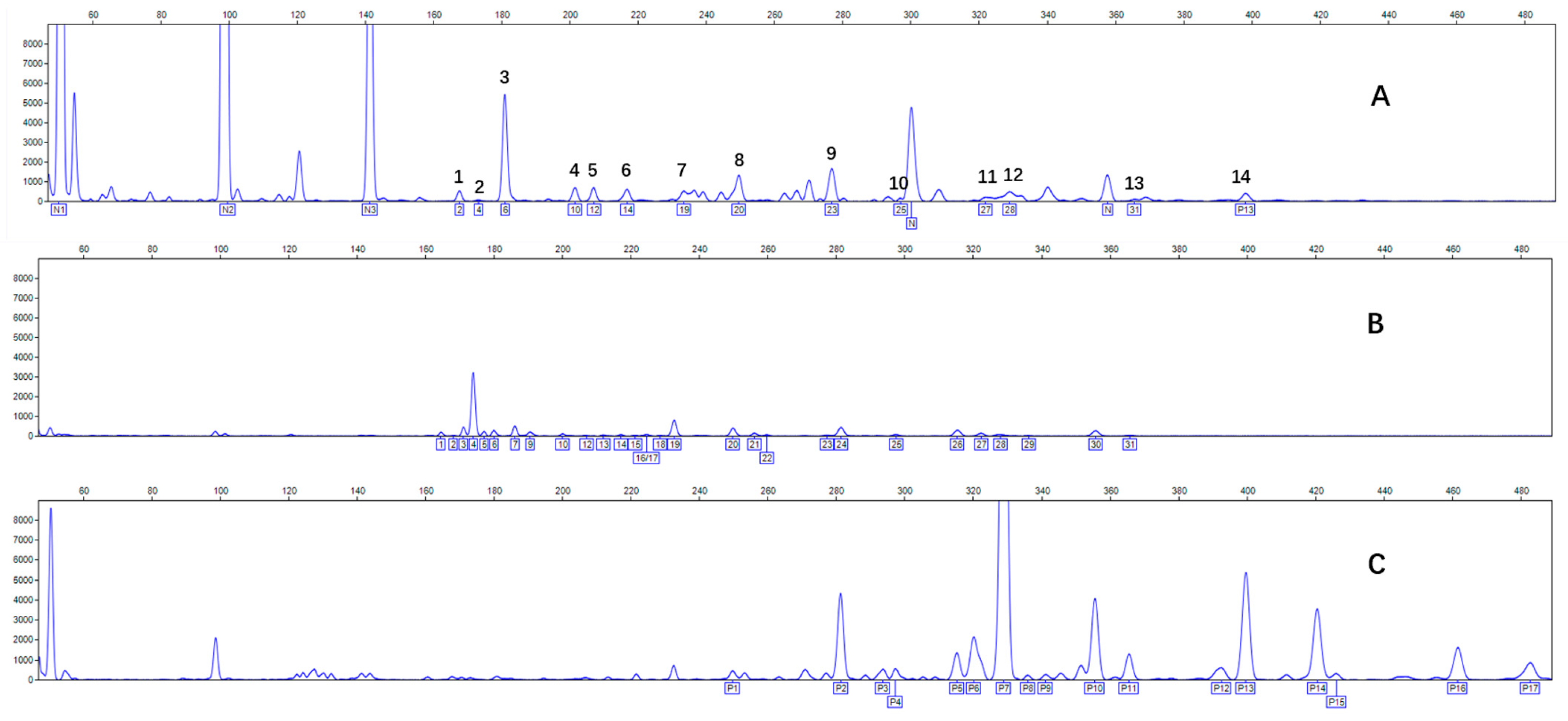 Molecules 31 00059 g004