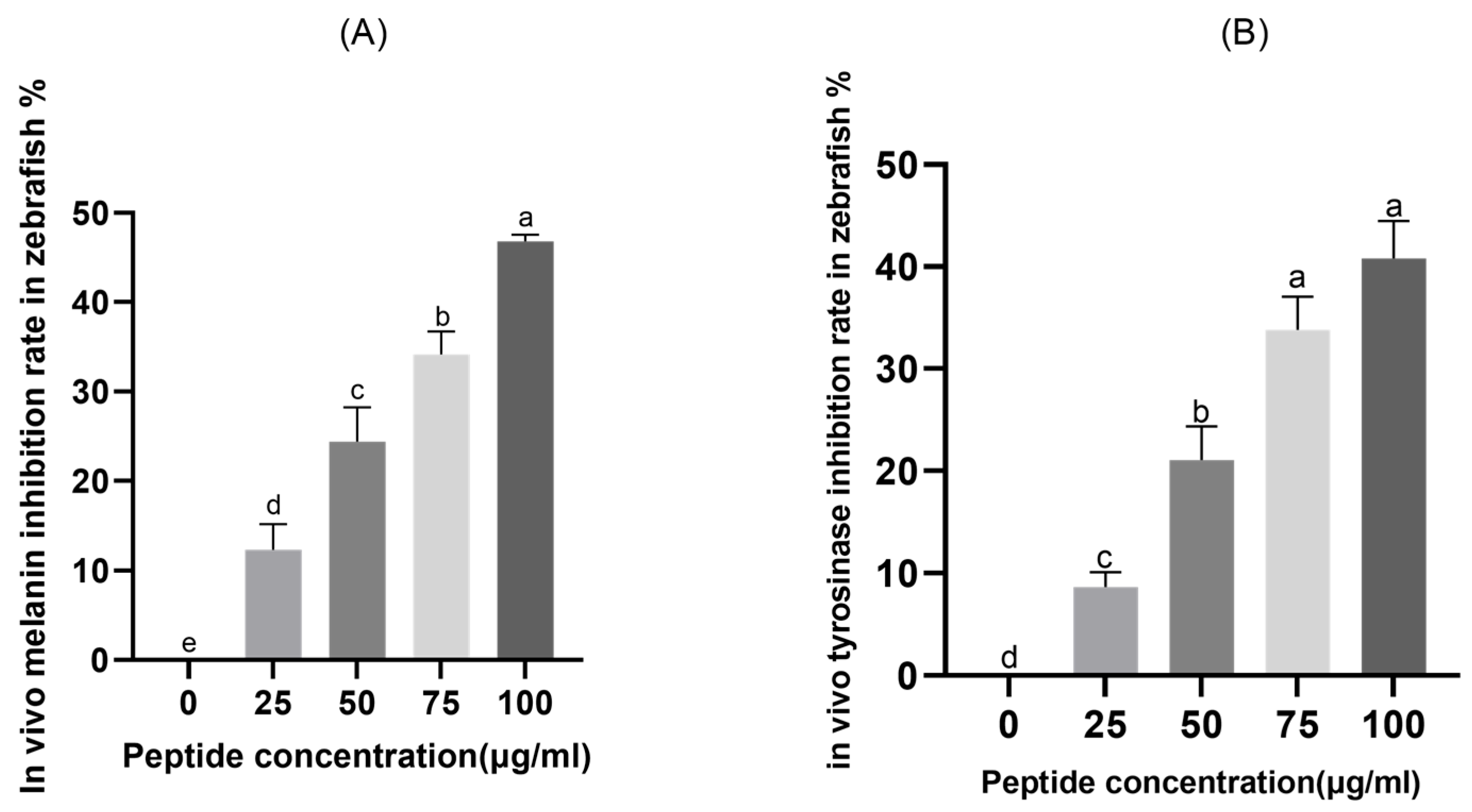 Molecules 31 00059 g007
