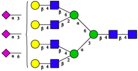 Molecules 31 00059 i005