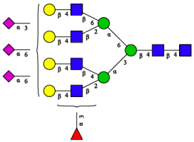 Molecules 31 00059 i007