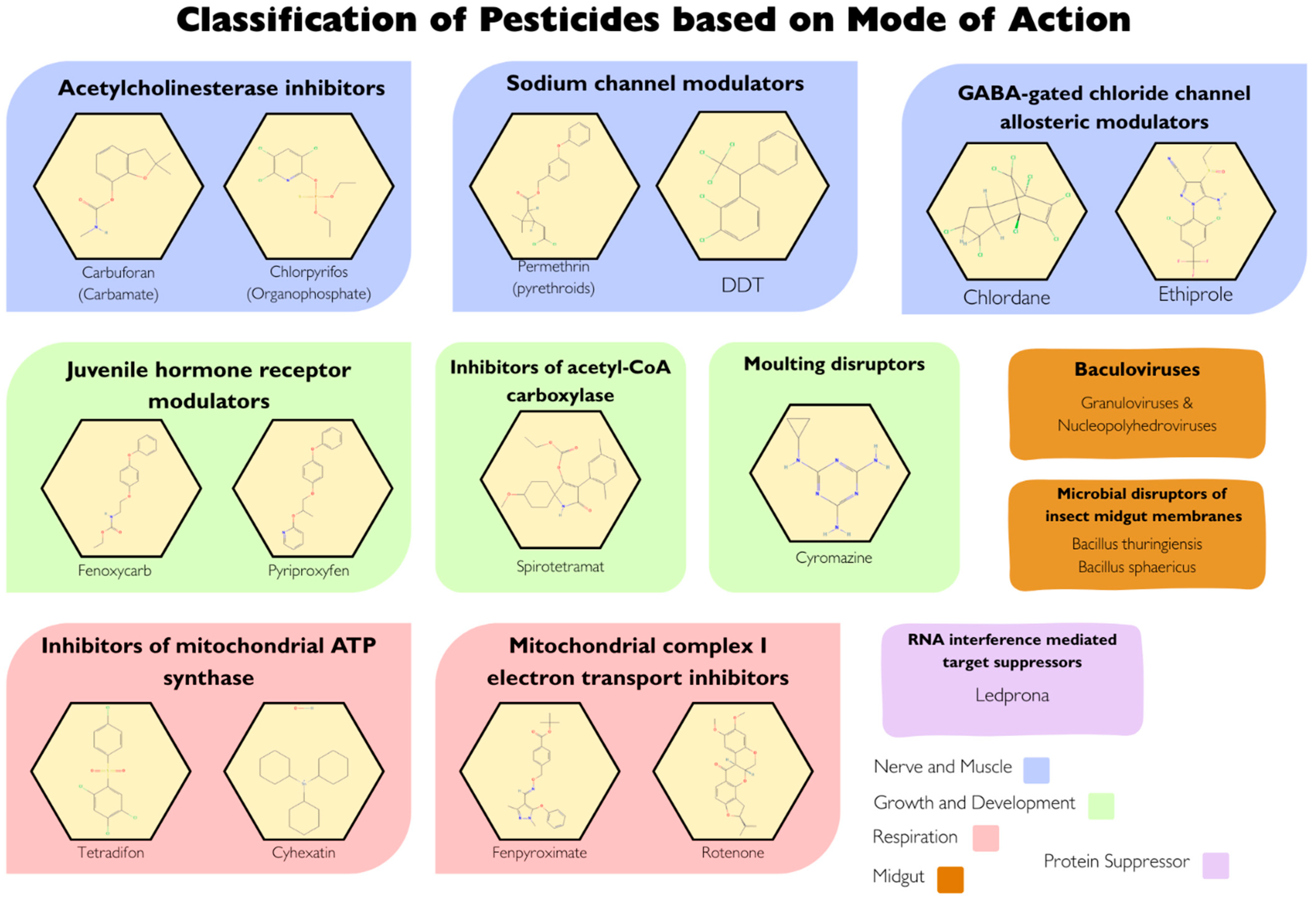 Molecules 31 00063 g002