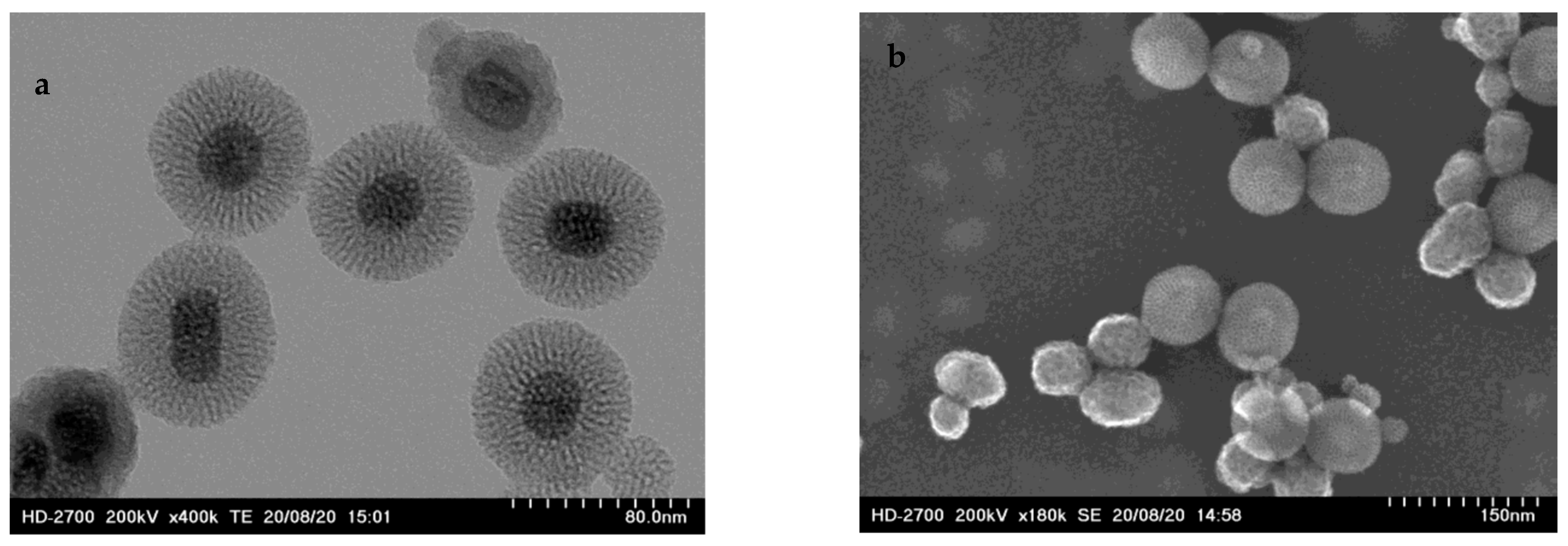 Molecules 31 00074 g001