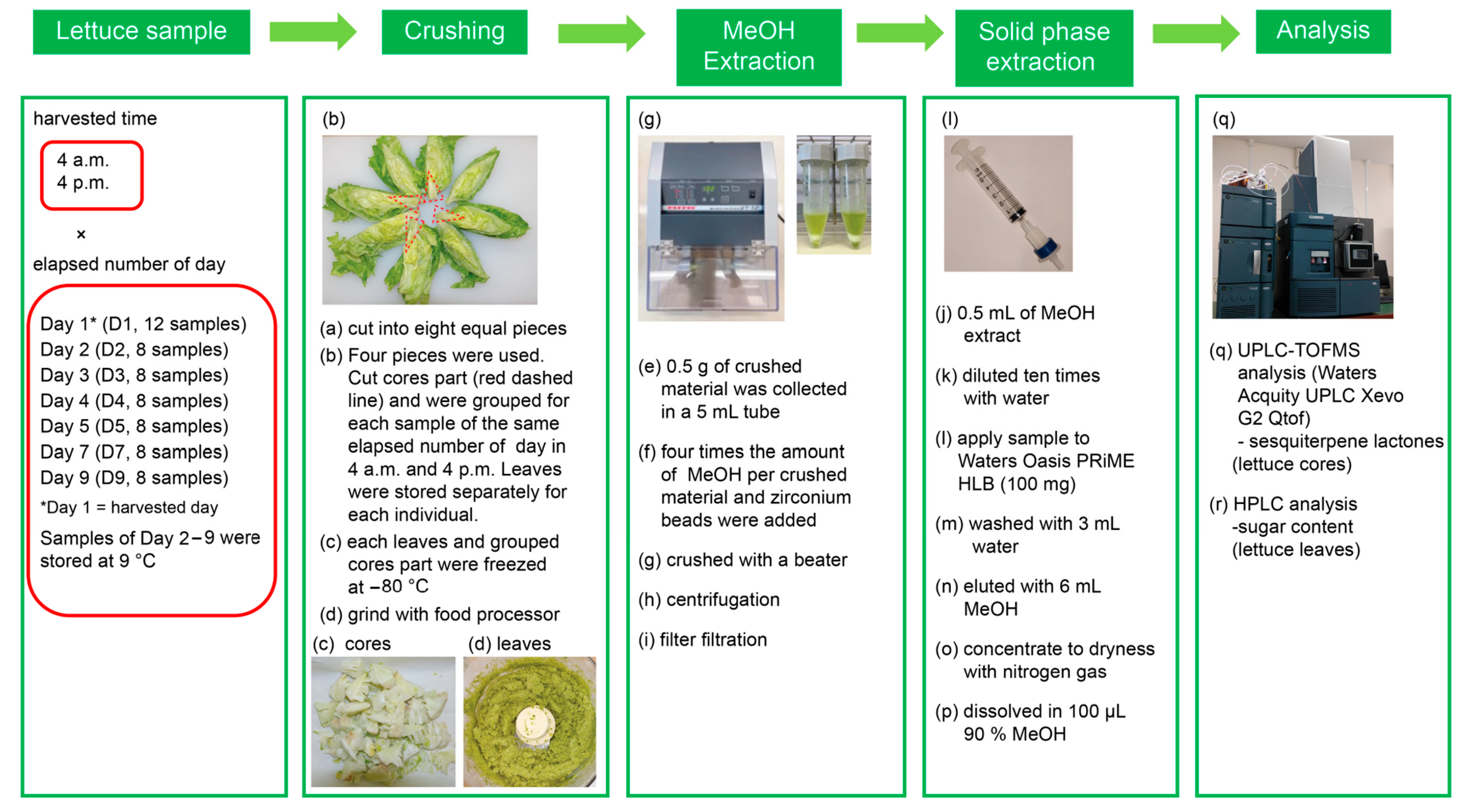 Molecules 31 00080 g001