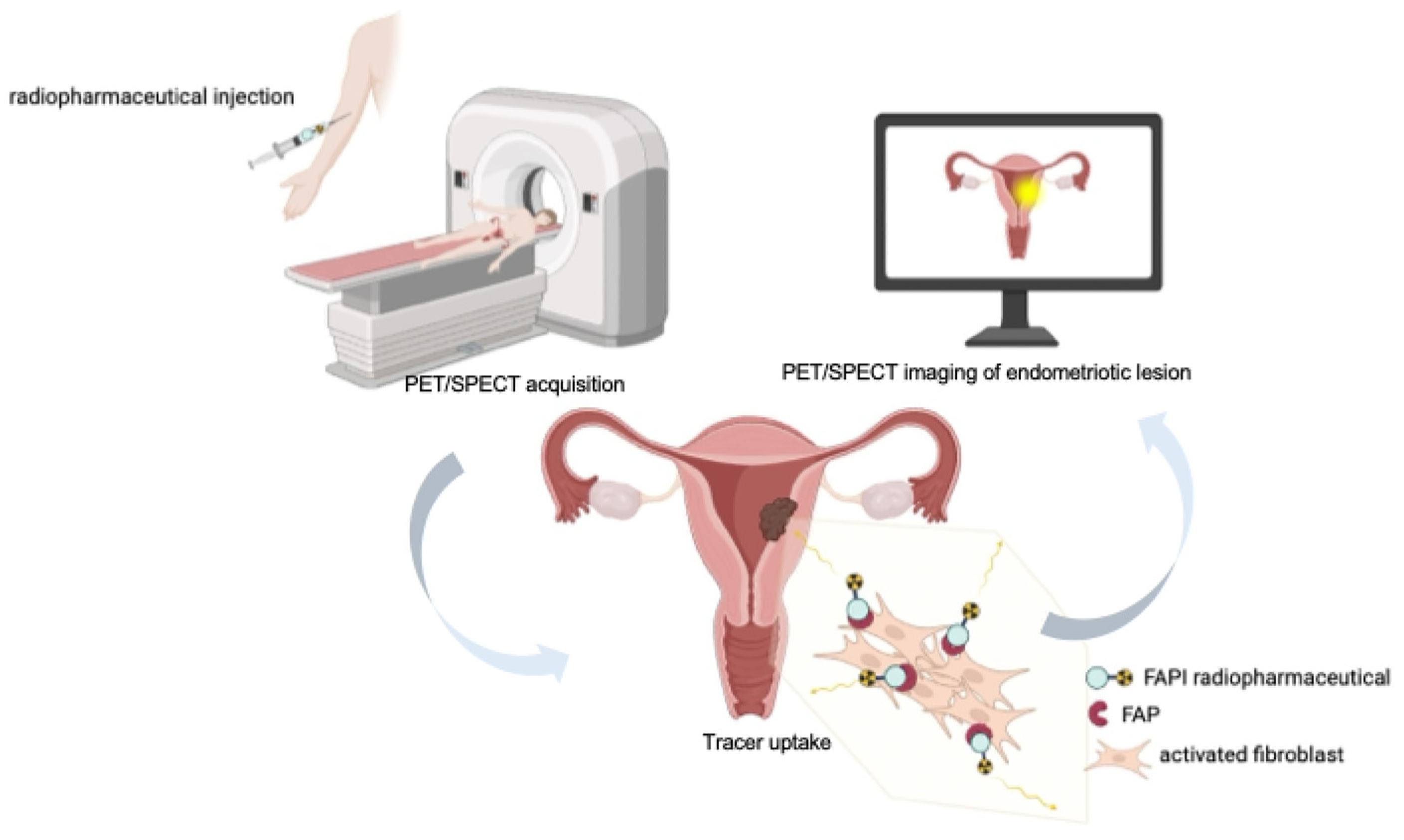 Molecules 31 00093 g002