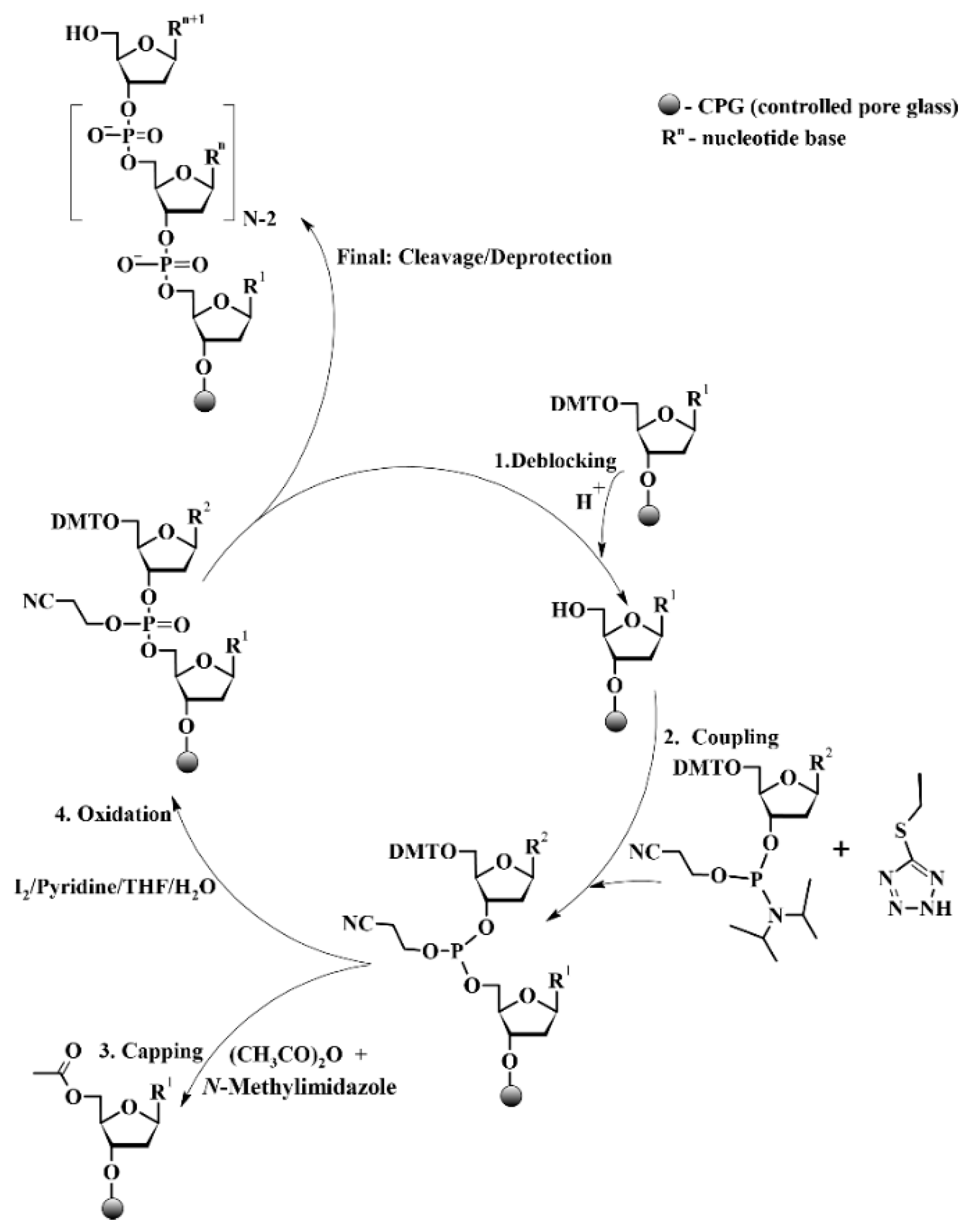 Molecules 31 00094 sch001