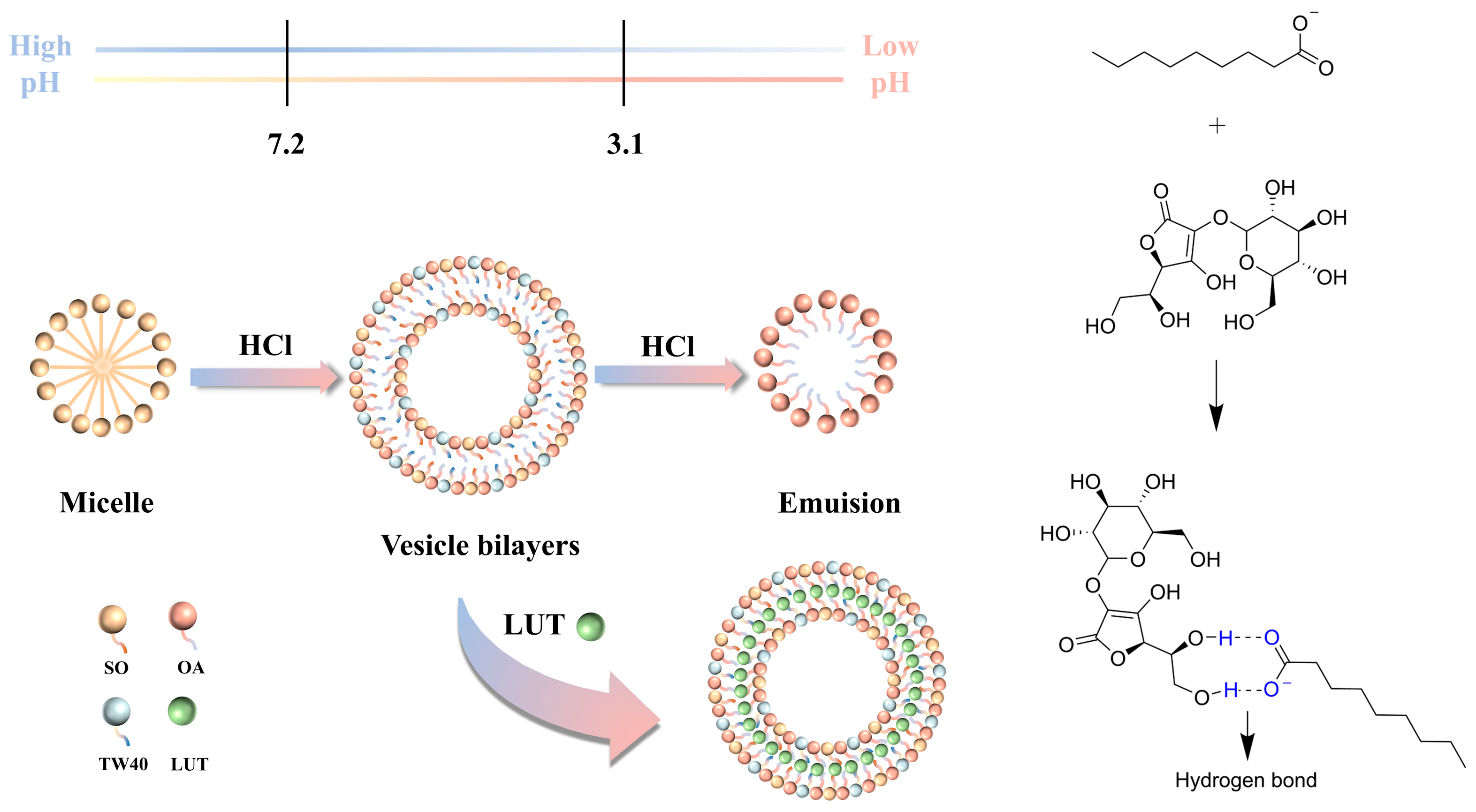 Molecules 31 00122 g002