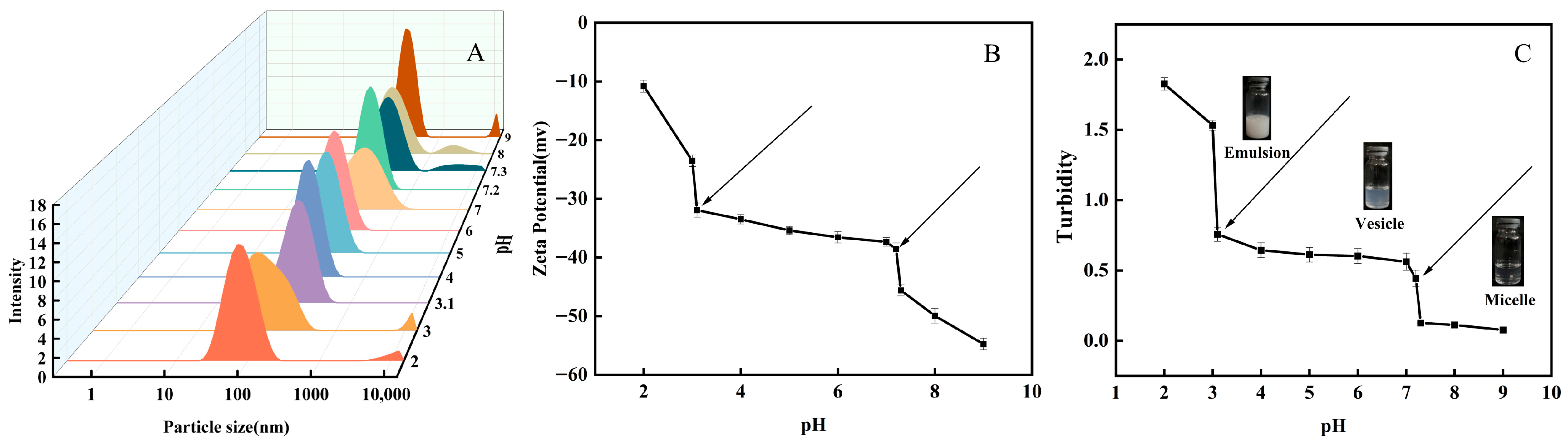 Molecules 31 00122 g003
