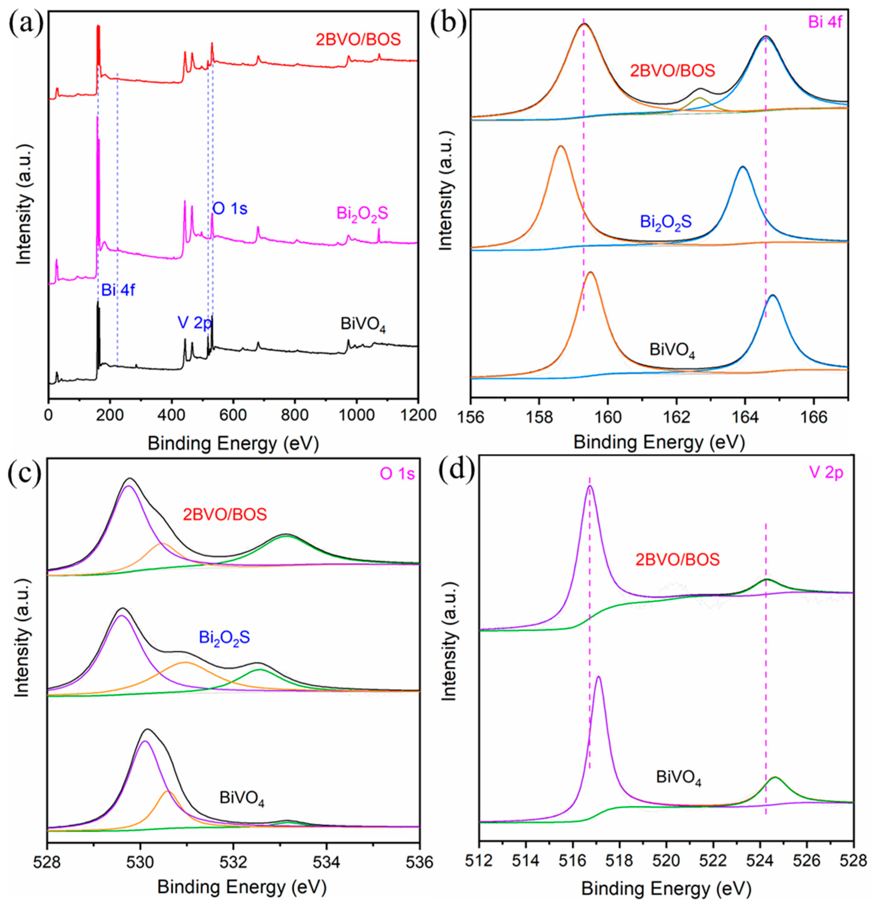Molecules 31 00136 g005