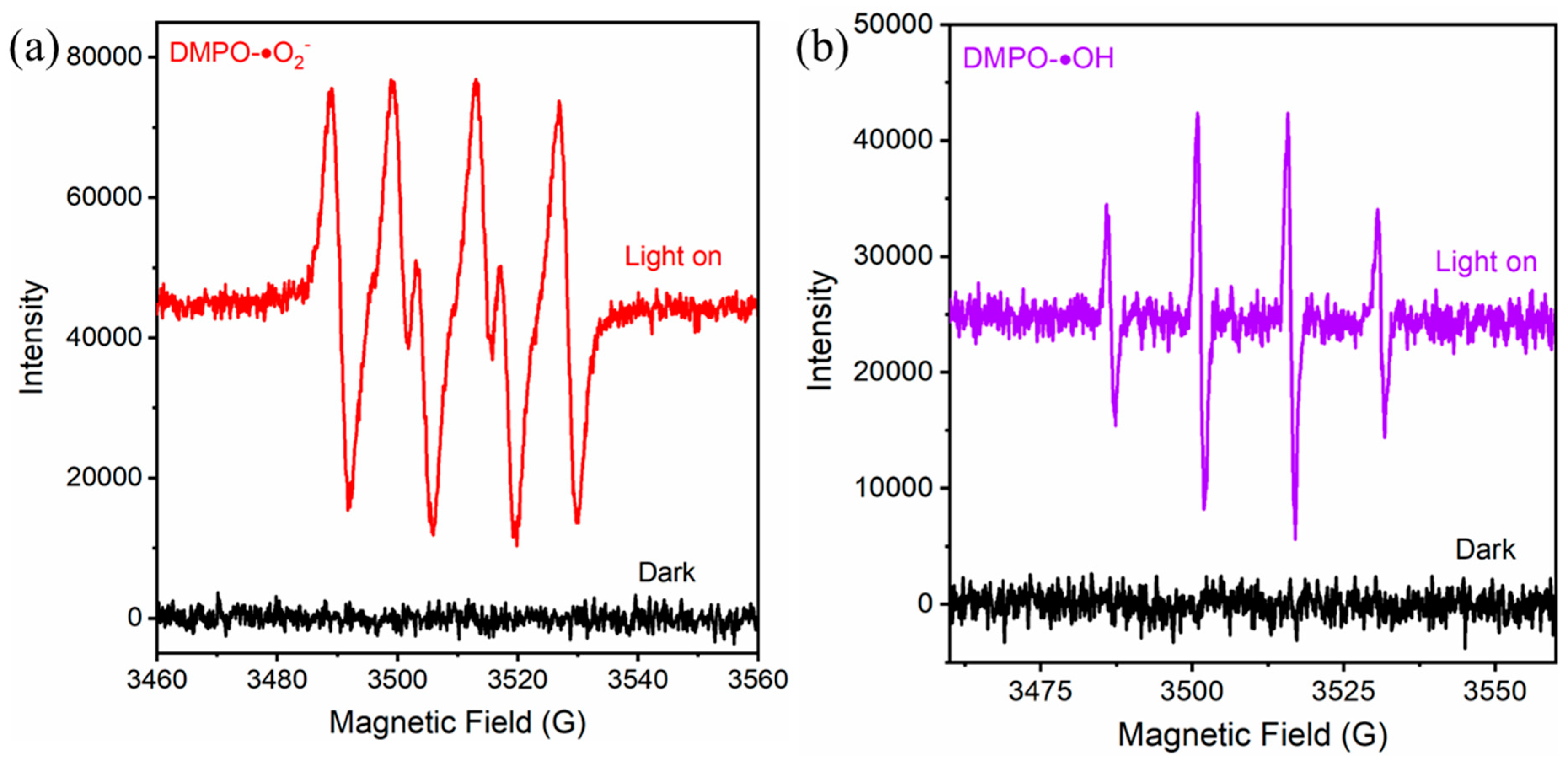 Molecules 31 00136 g012